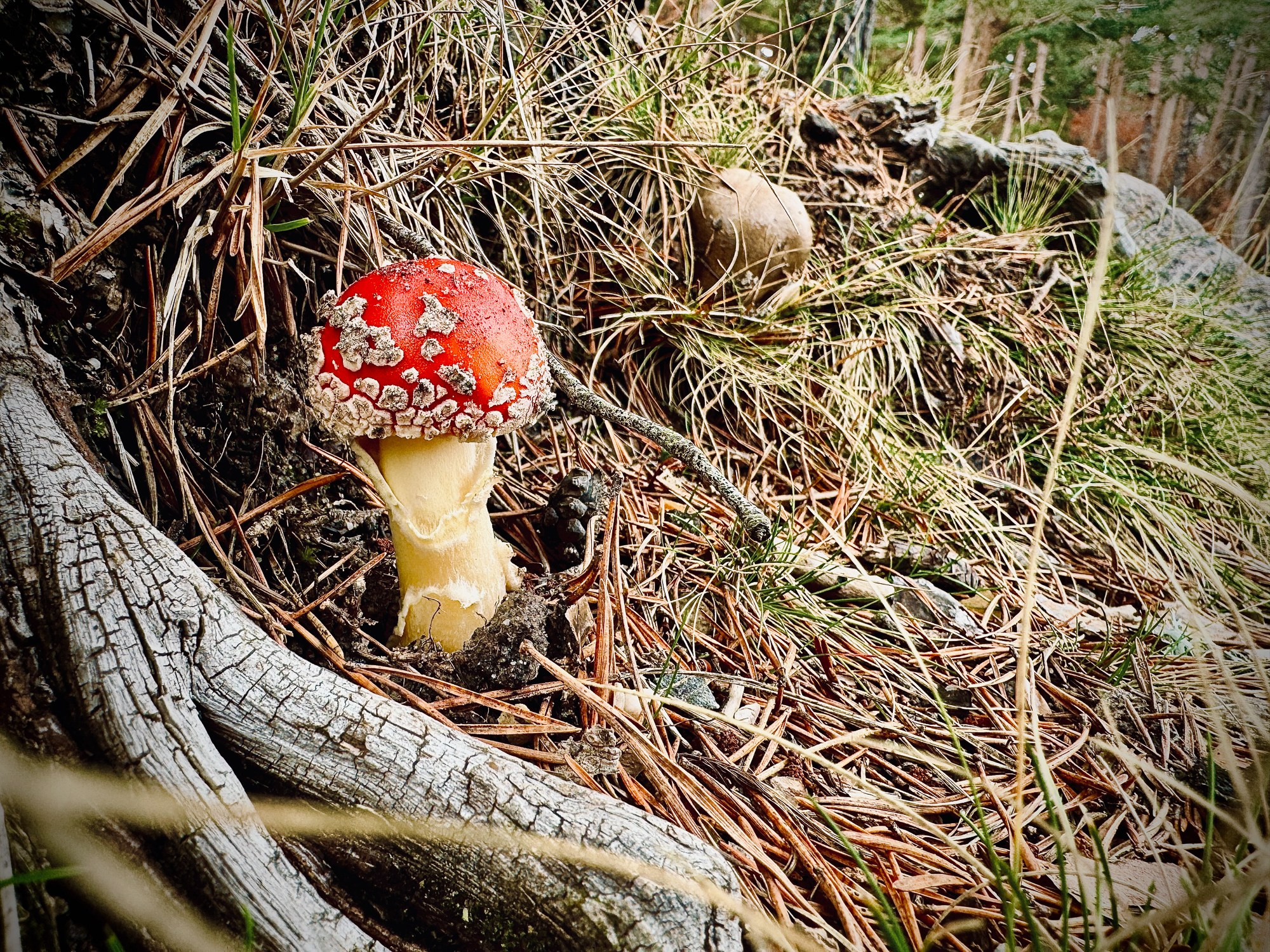 Peisaj /natura. Daniel Criste Fotograf