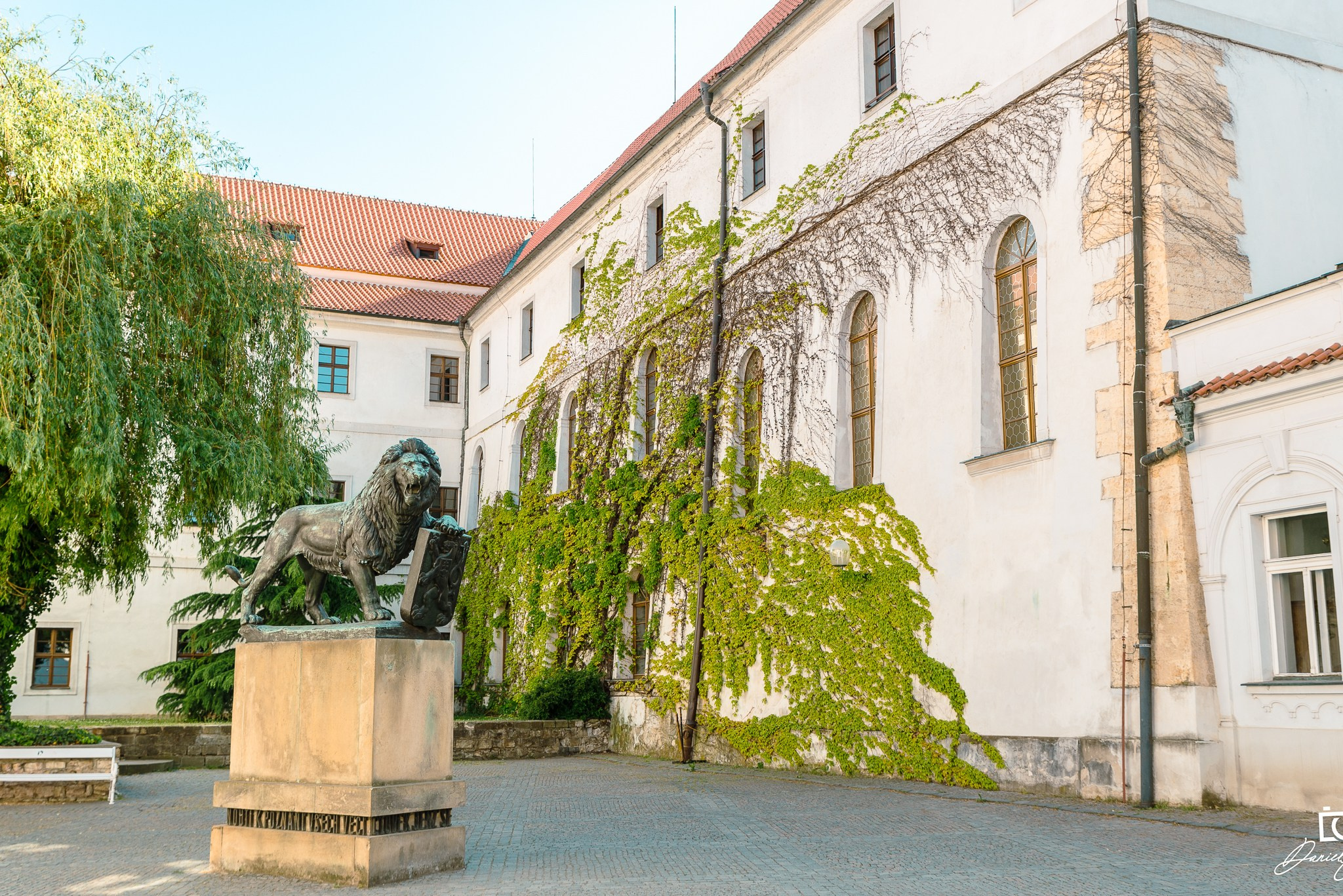 Fotografie urbana. Daniel Criste Fotograf