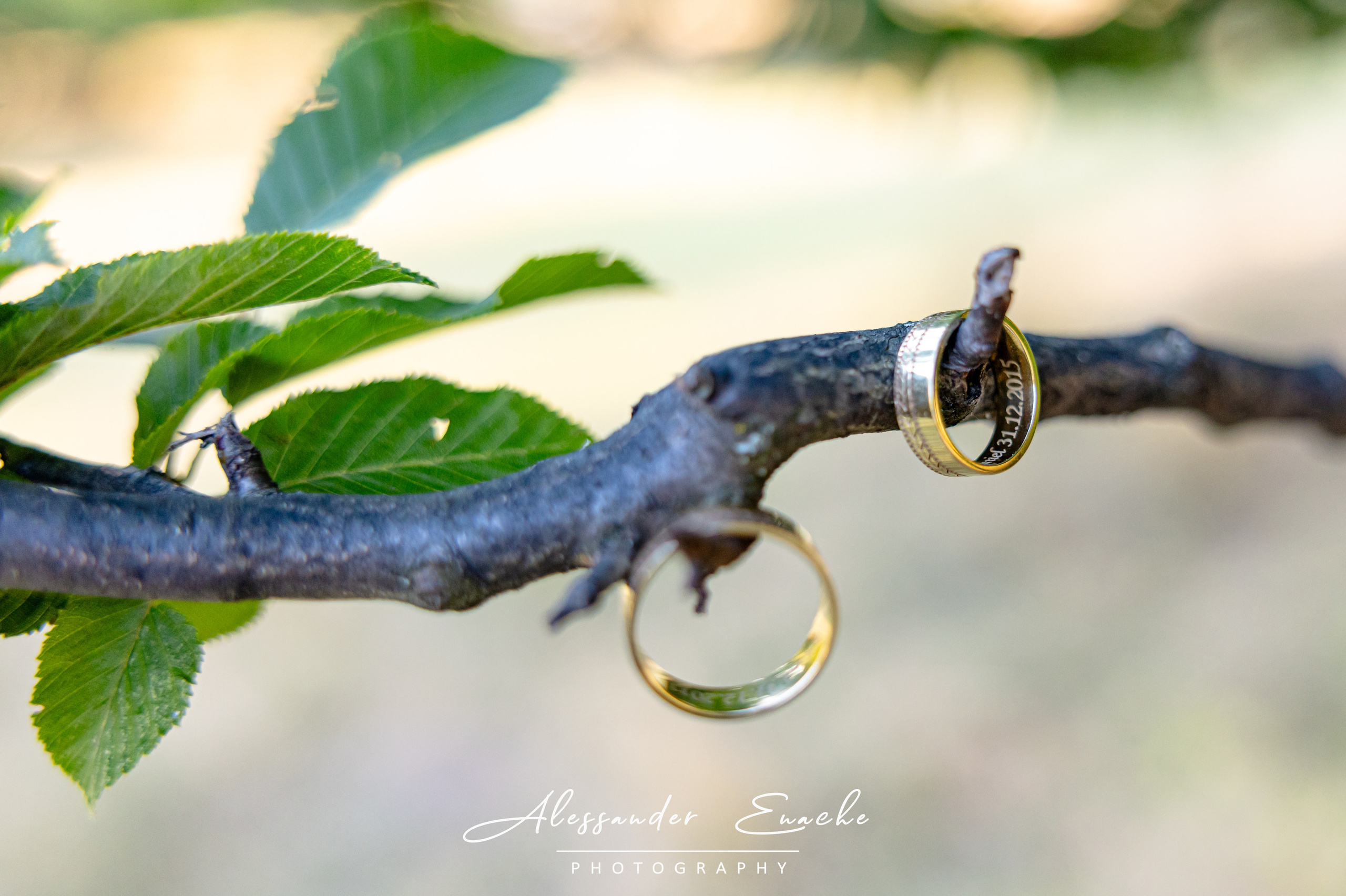 Daniel & Madalina. Alessander Enache–Fotograf de Nuntă Piatra Neamț
