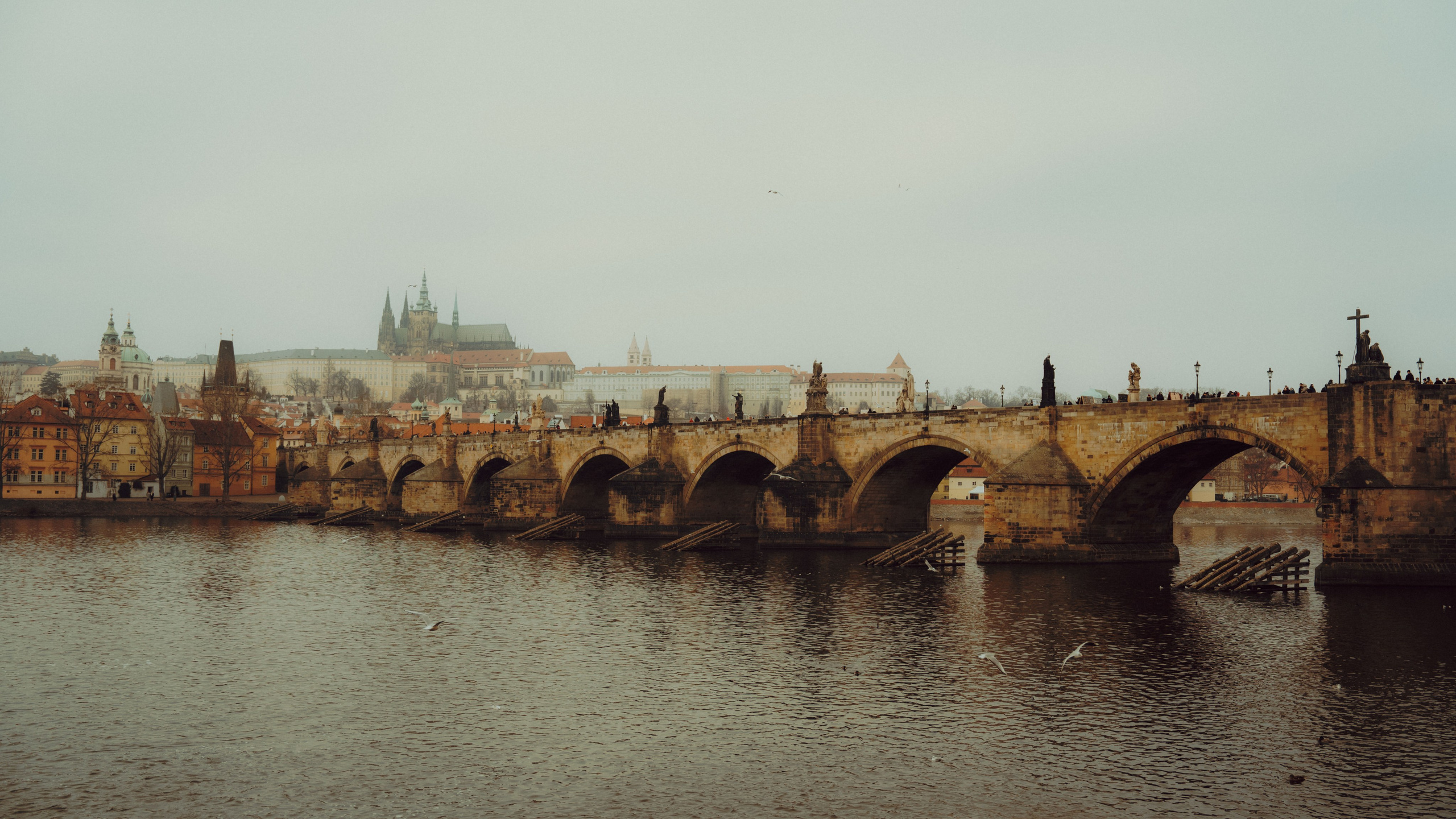 Prague. Merabi Eminashvili