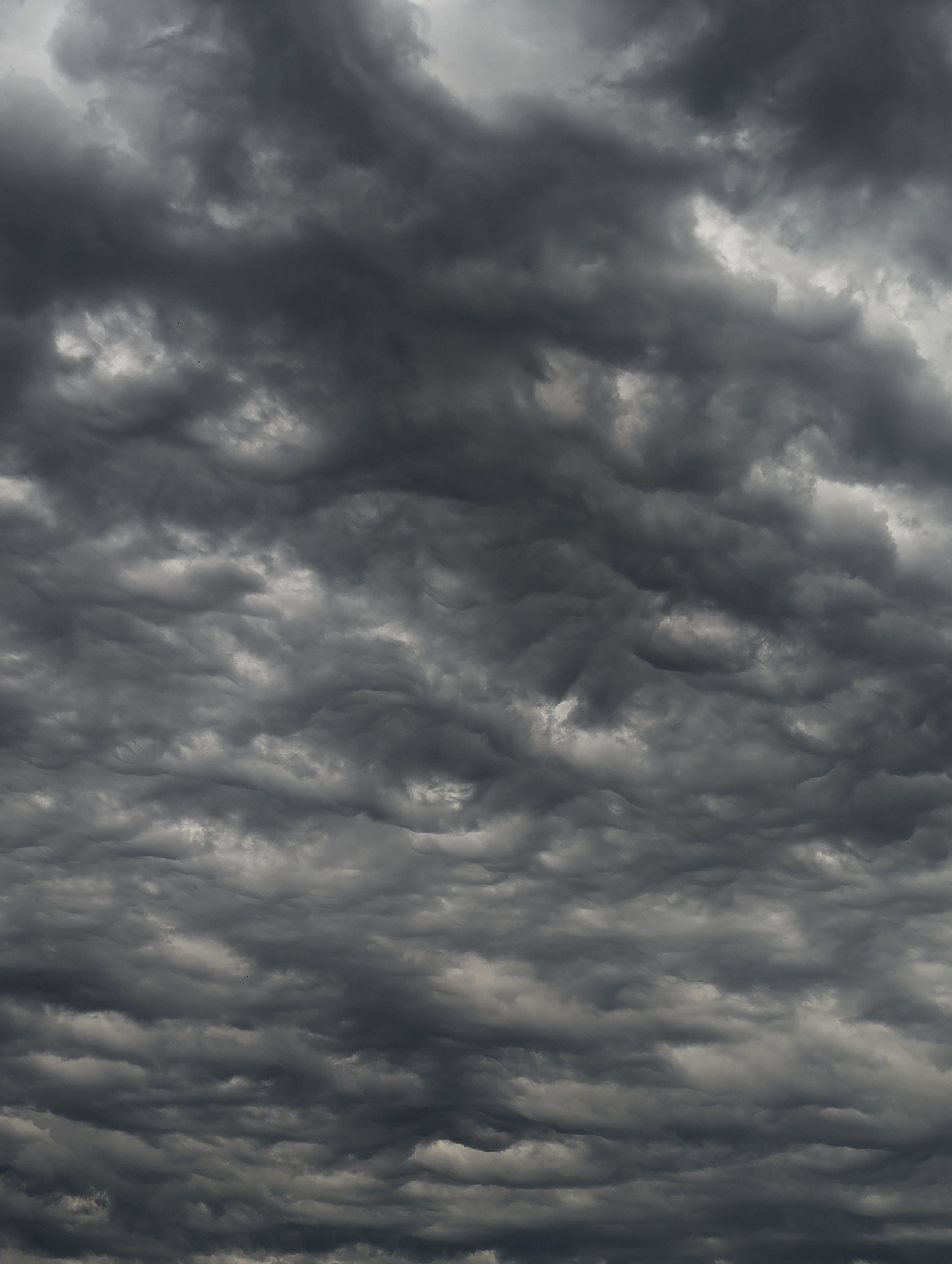 Photographer in search of the sublime and the urban revelations