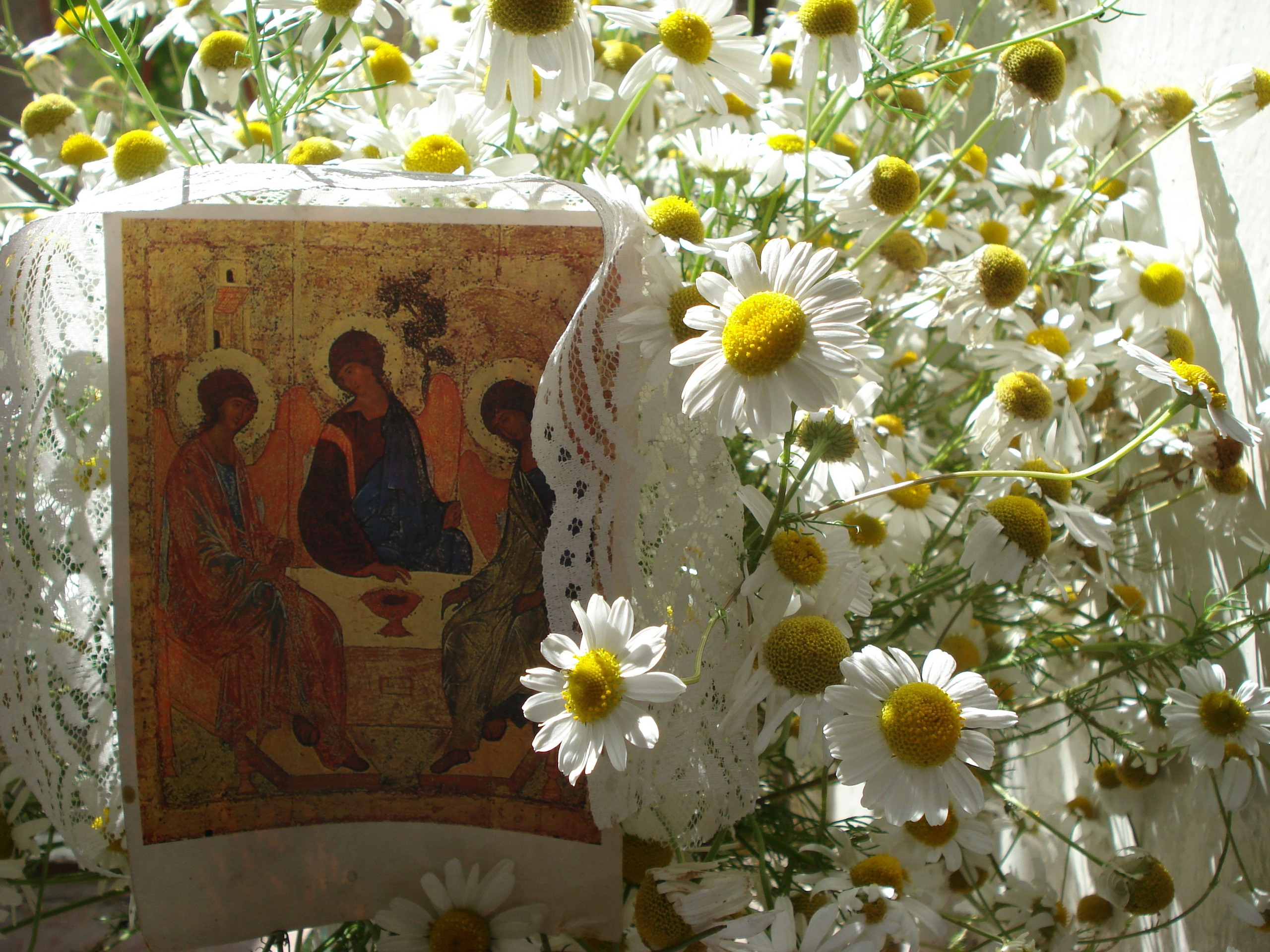 Николай Предеин. Фотография. Николай Предеин — художник, скульптор и график