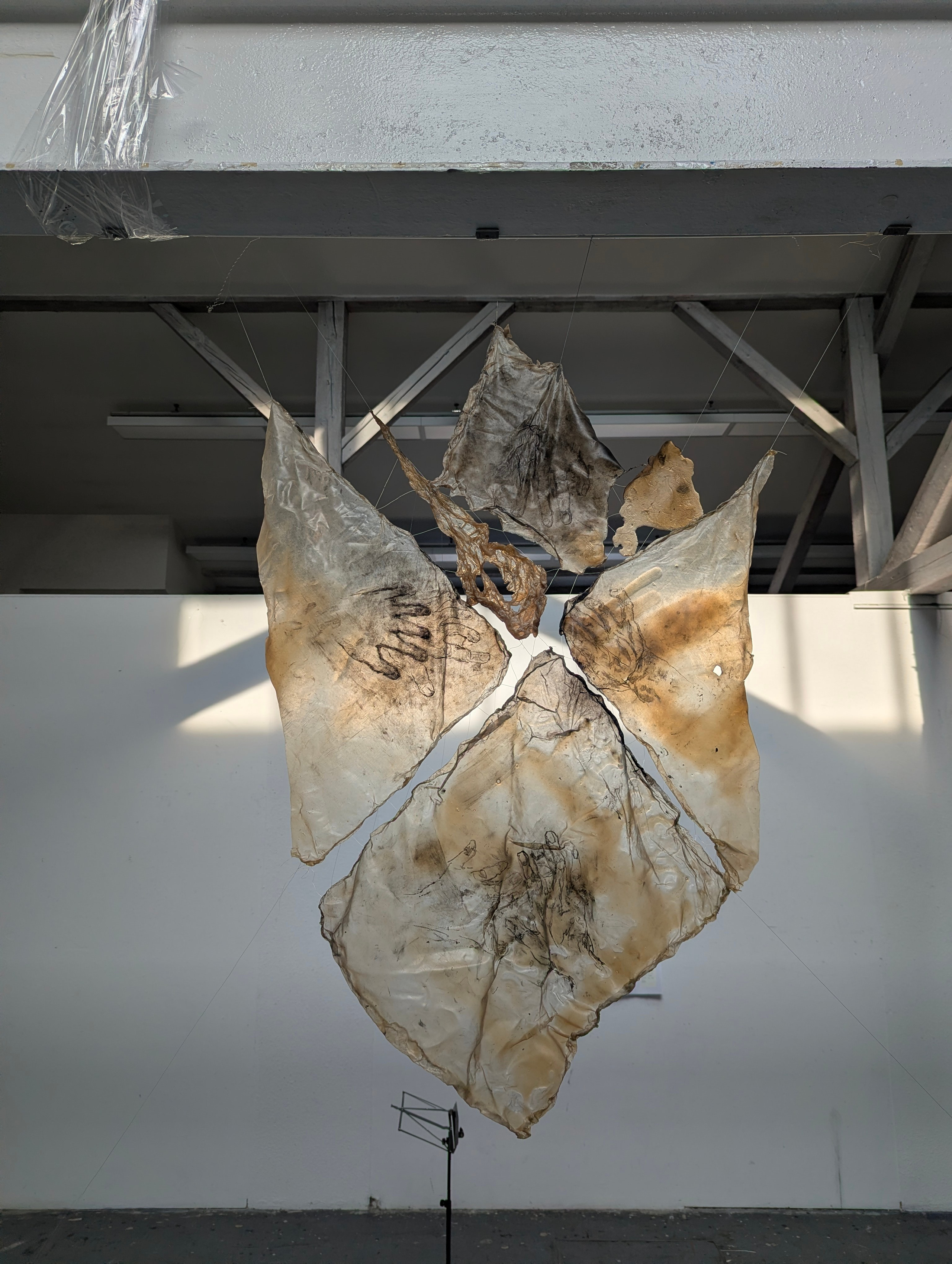 Internal chaos. Angelina Sorokopud. Artist in Strasbourg
