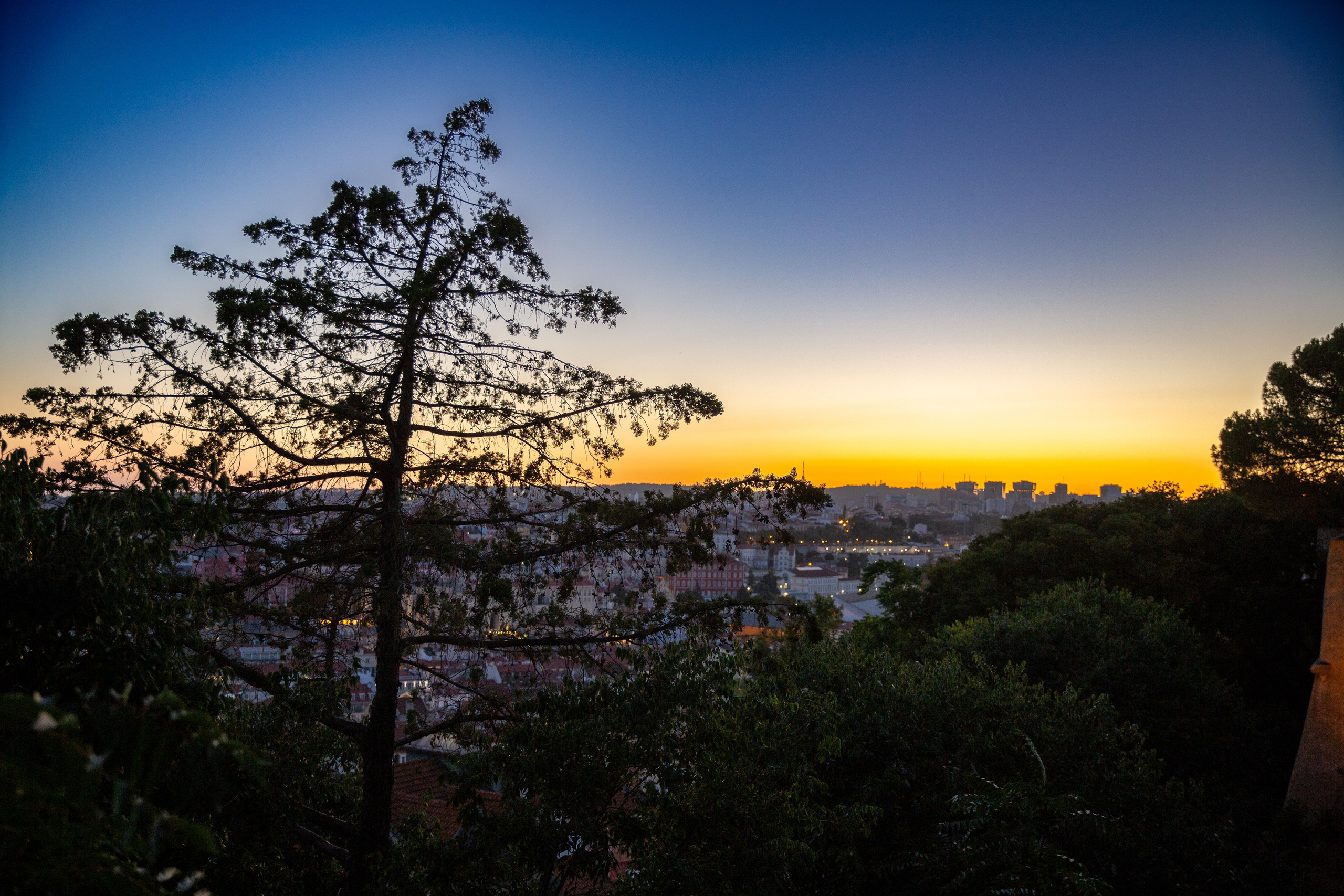 Paisagens. Thiago Chinellato