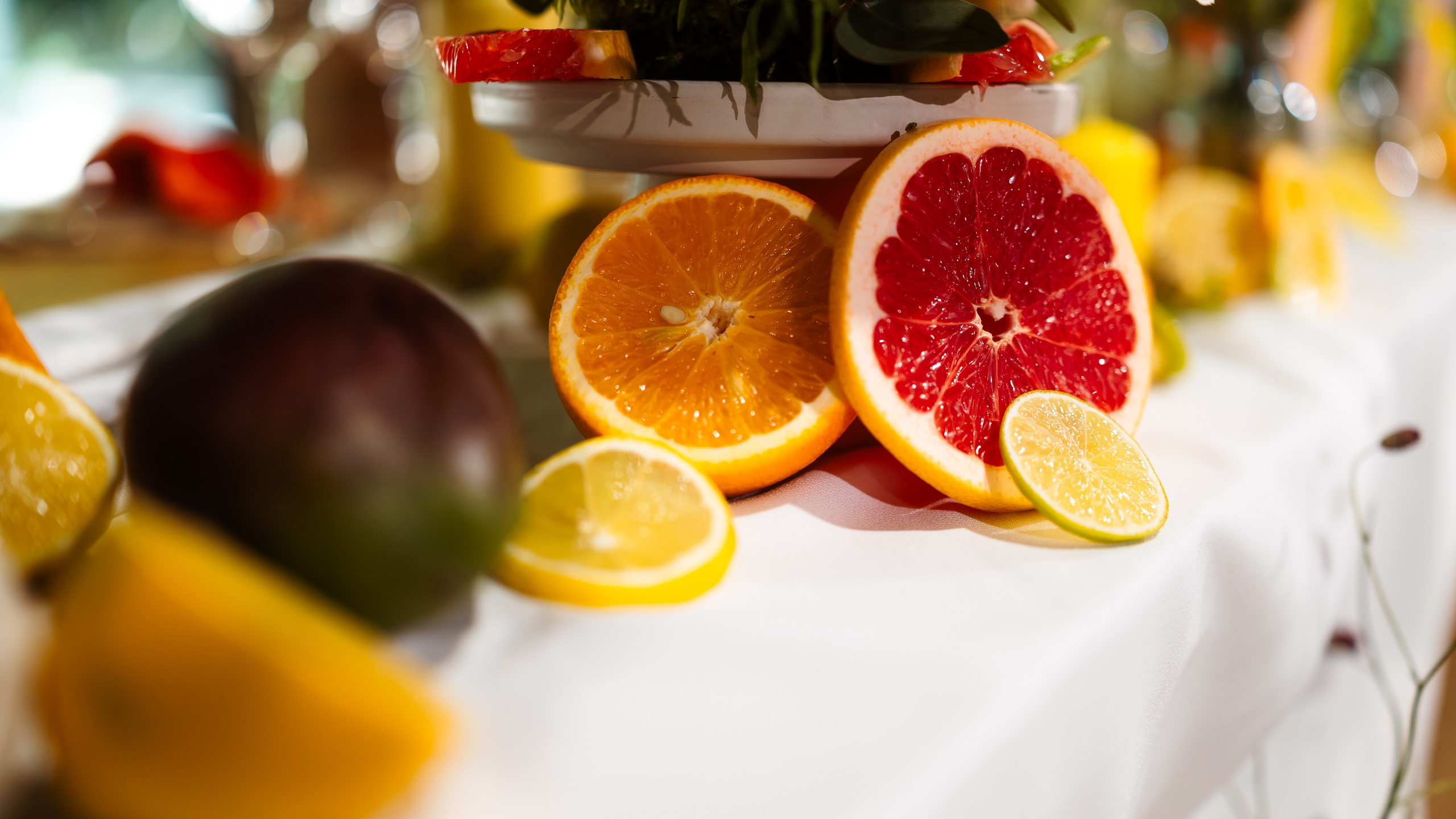 Styled Shoot Alex Zurba 3. Marius Ciocan