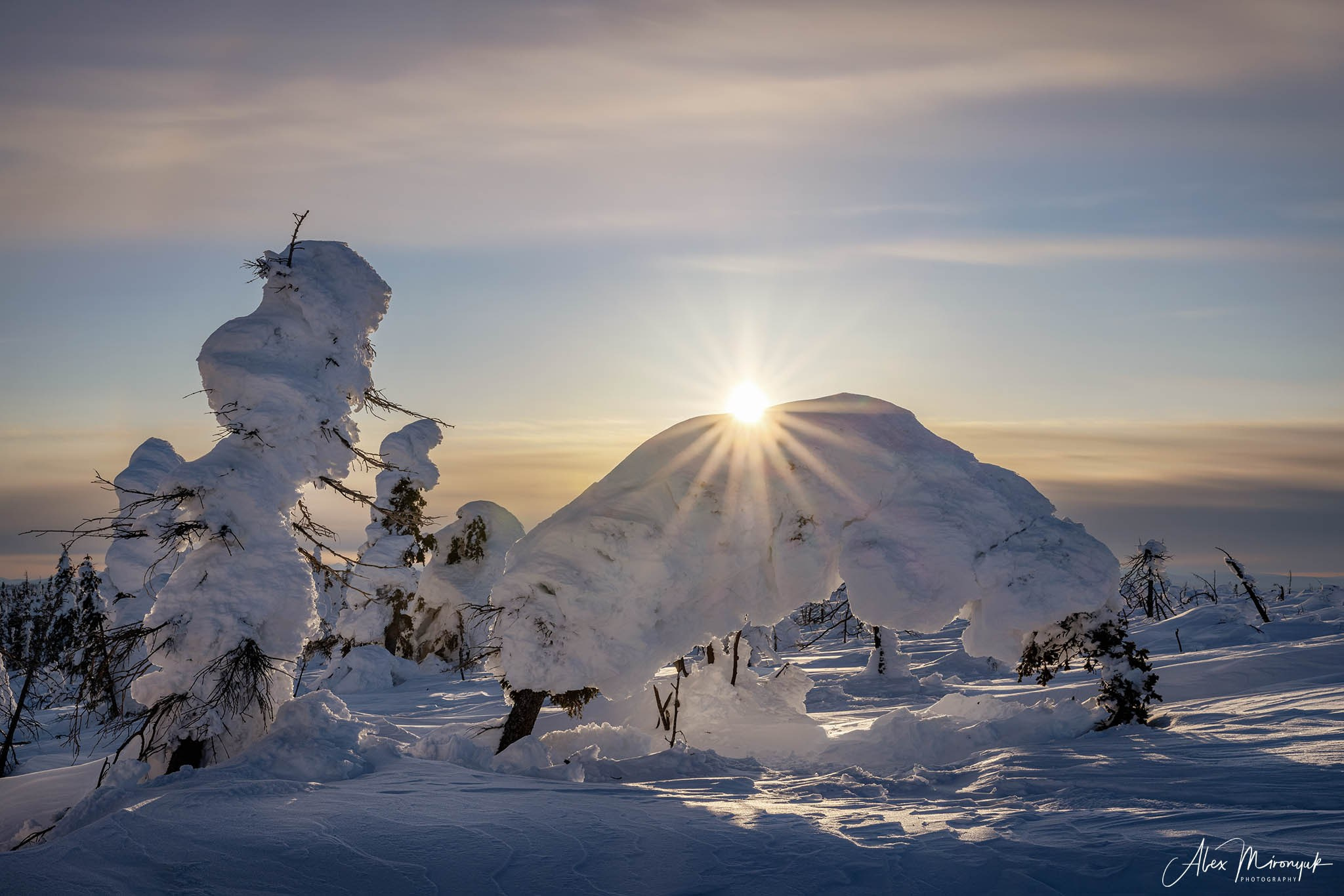 Chasing the Aurora Borealis. Pet, Senior, Landscape, portrait studio, photographer in Miami and Sou