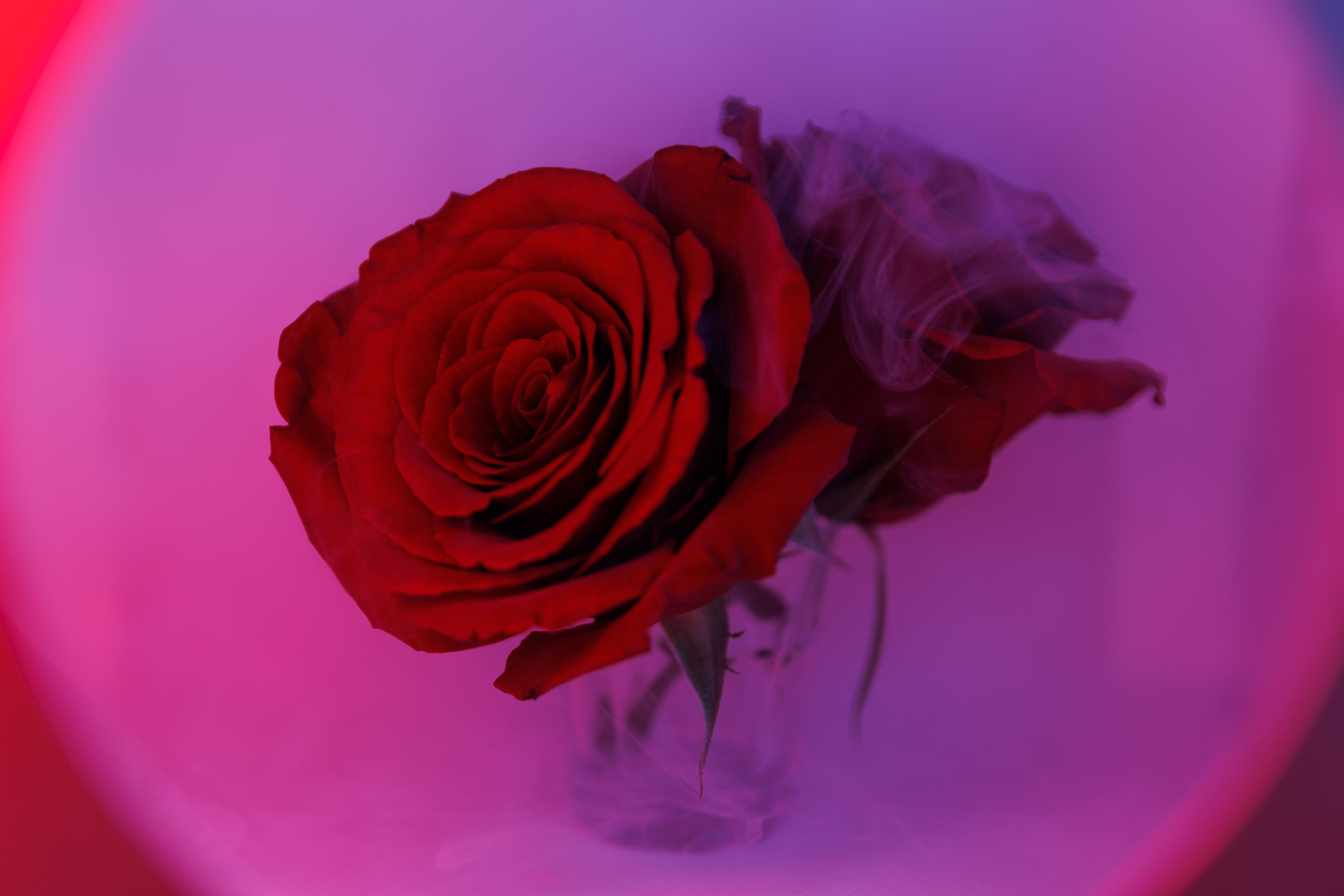 Special Projects. Portrait and Street photographer in Vilnius Edgar Shaipunas