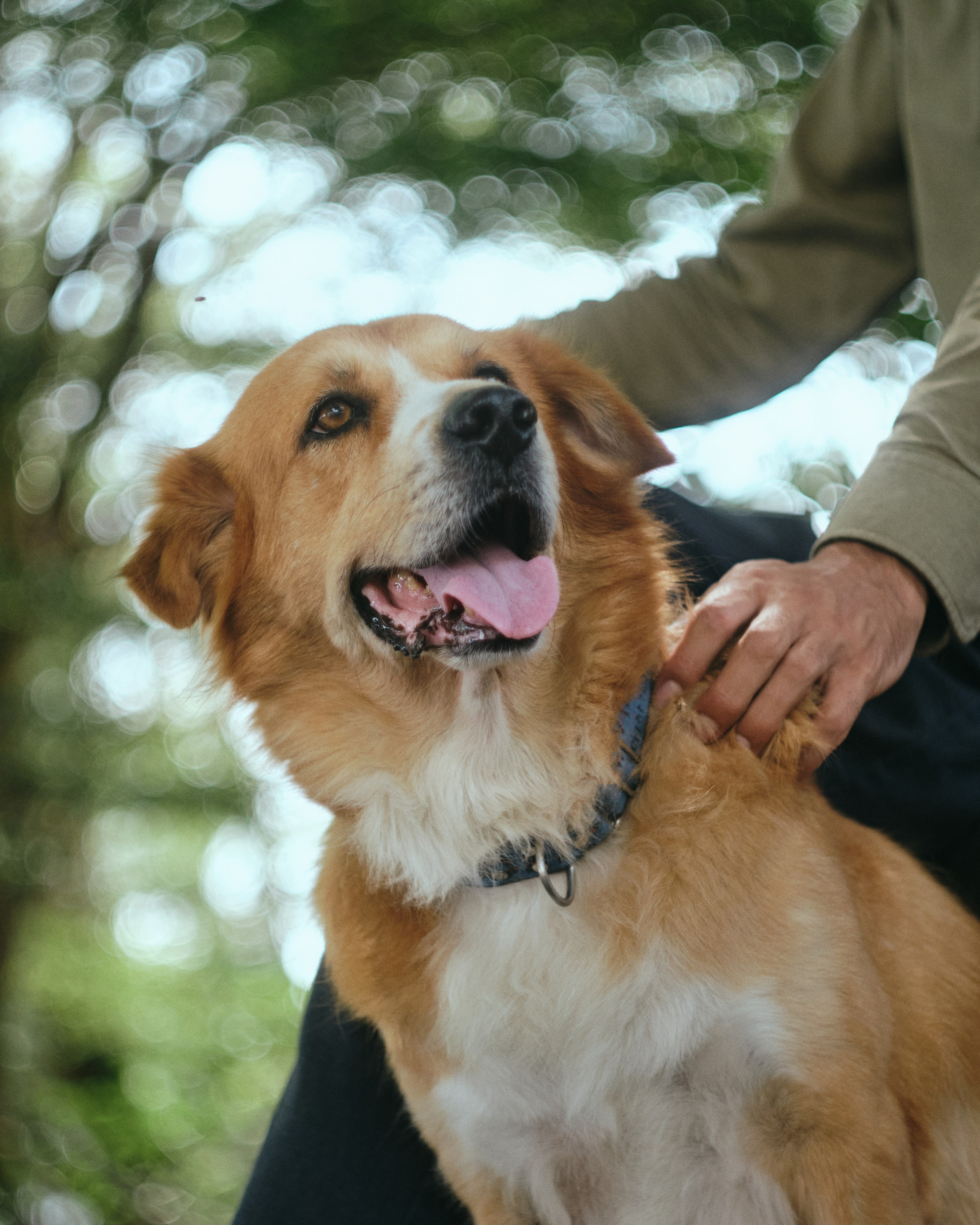 Оператор без диплома, но с опытом 800+ съемочных дней: история Олега Хорошавина