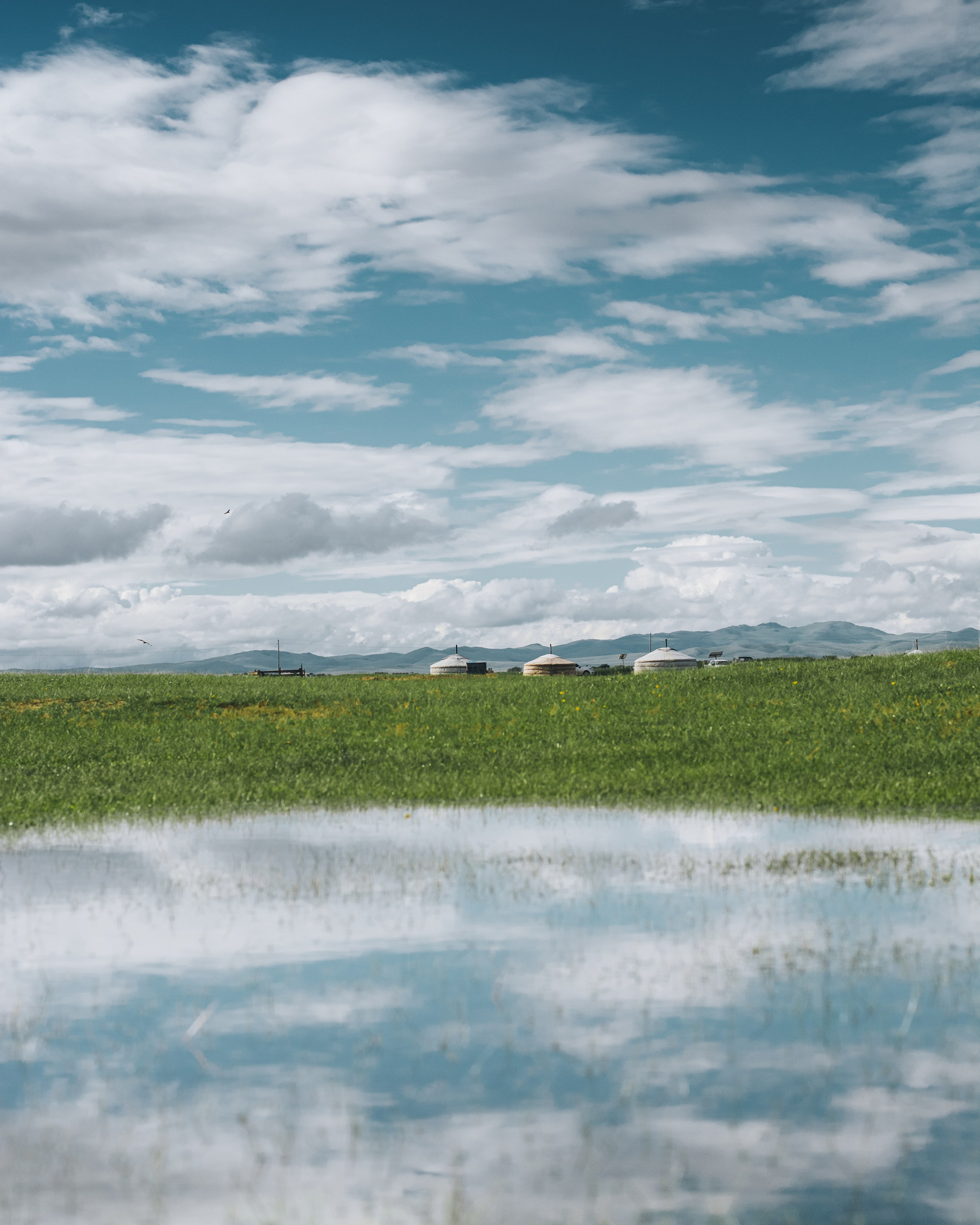 Photography. ODIX Creative