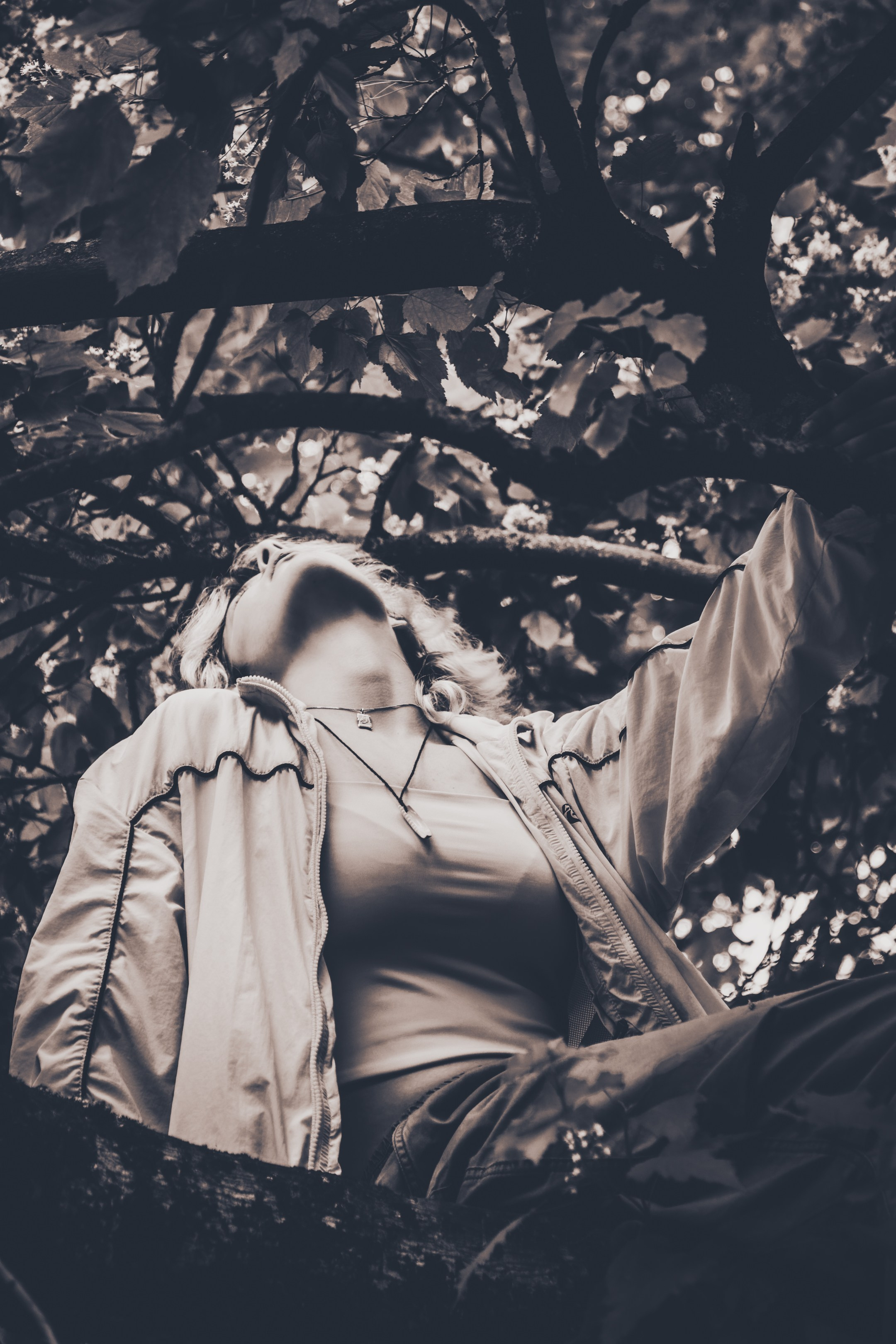 Lahe graatsia (Sonja). Nebula 25 — Fotod teie hingele