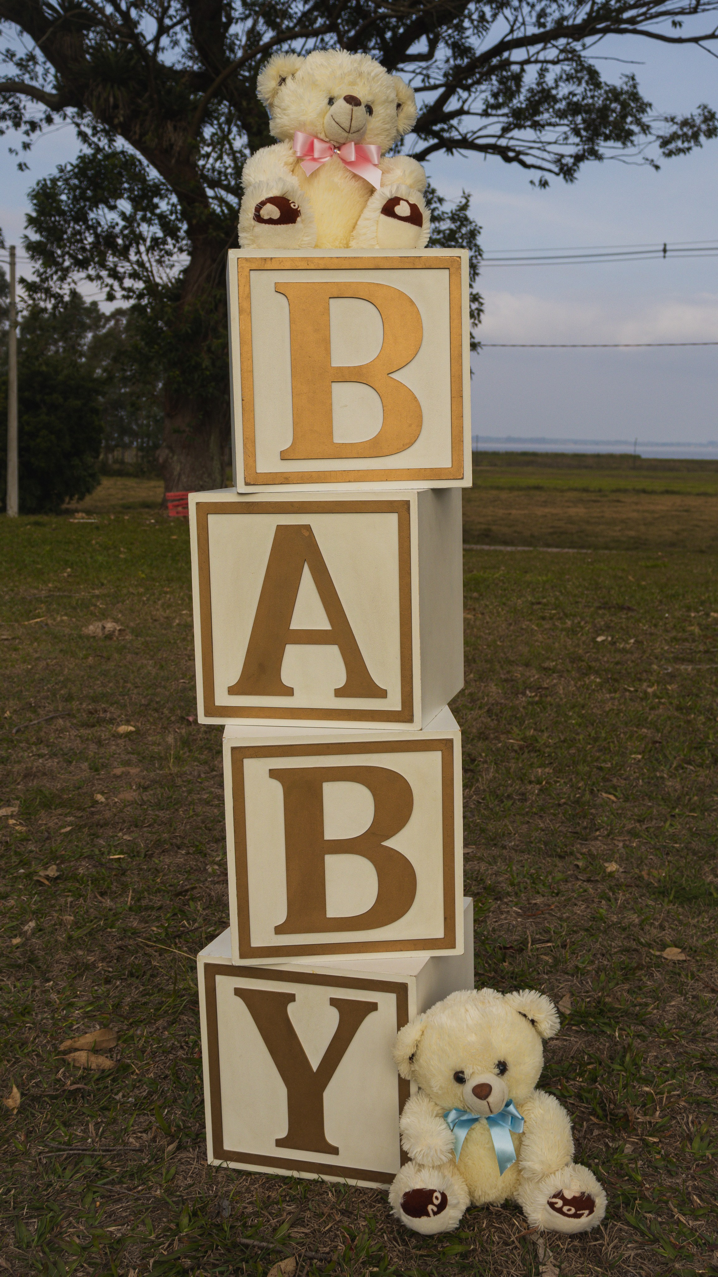 Maternidade. Portifolio