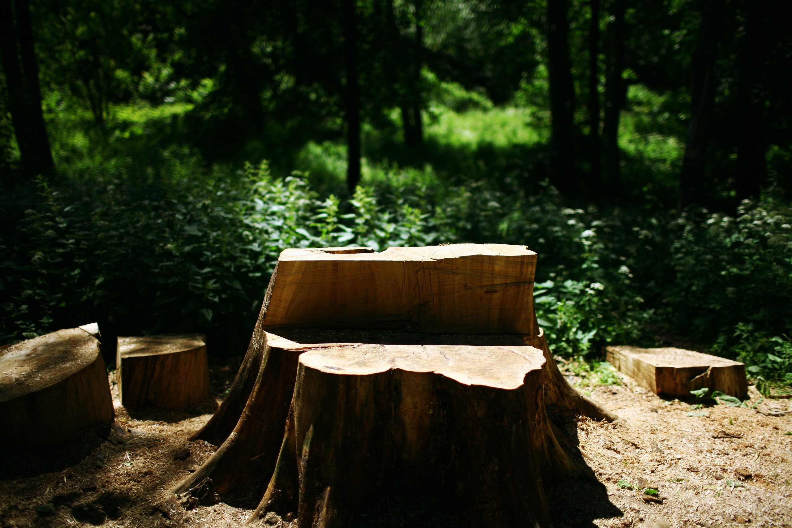 Milena, driades' daughter. Victoria Dini. Art photography in London / Folkestone, UK