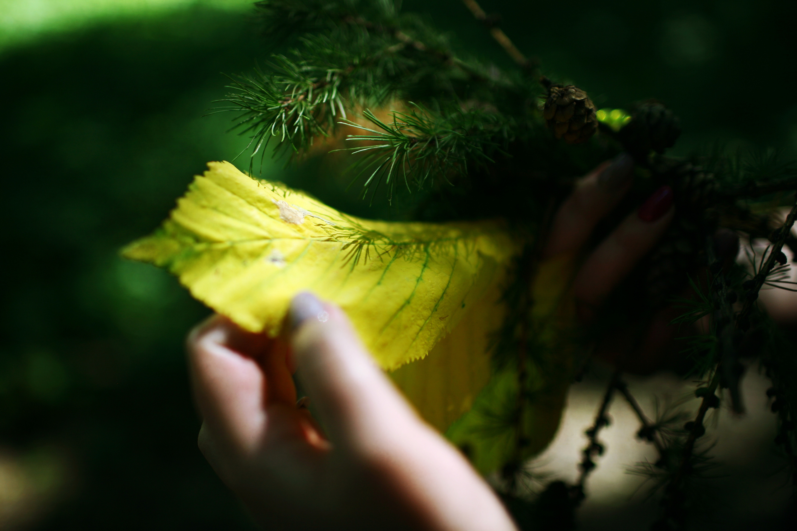 Milena, driades' daughter. Victoria Dini. Art photography in London / Folkestone, UK