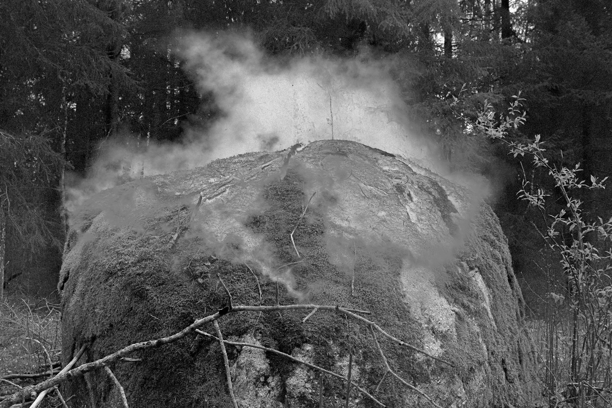 Babcia (ongoing). Jana Gertz