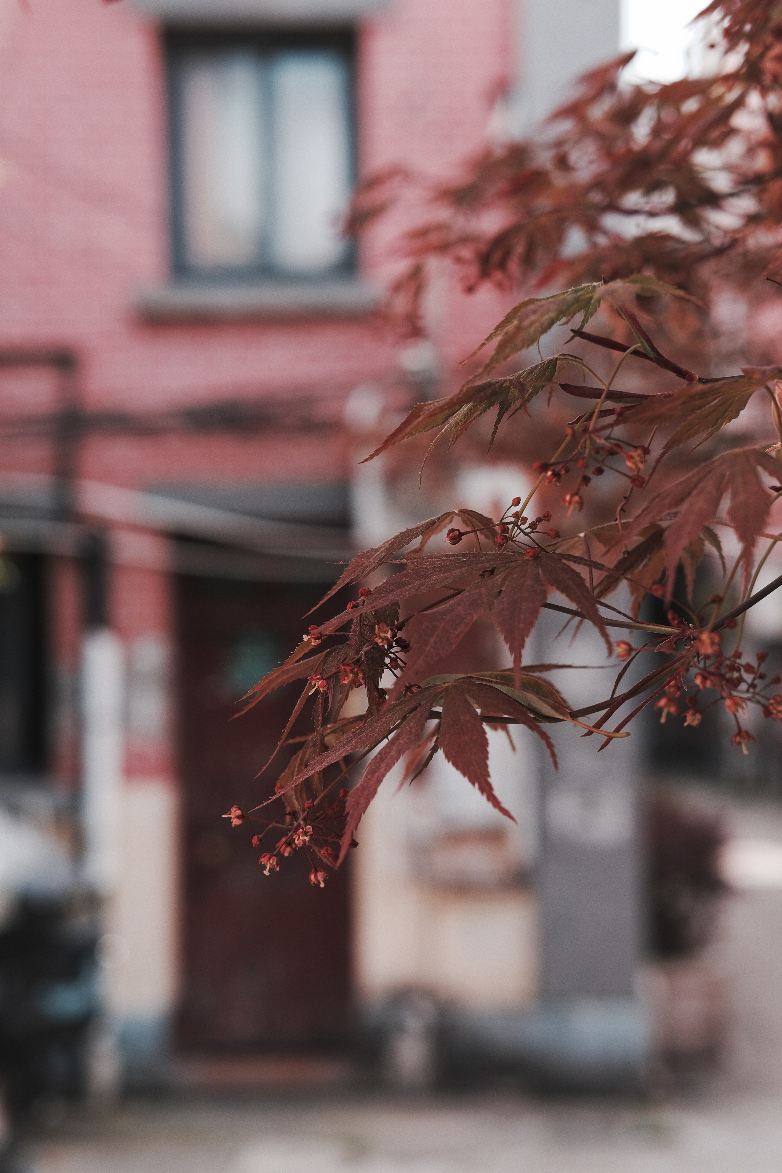 Shanghai Street Photography | China