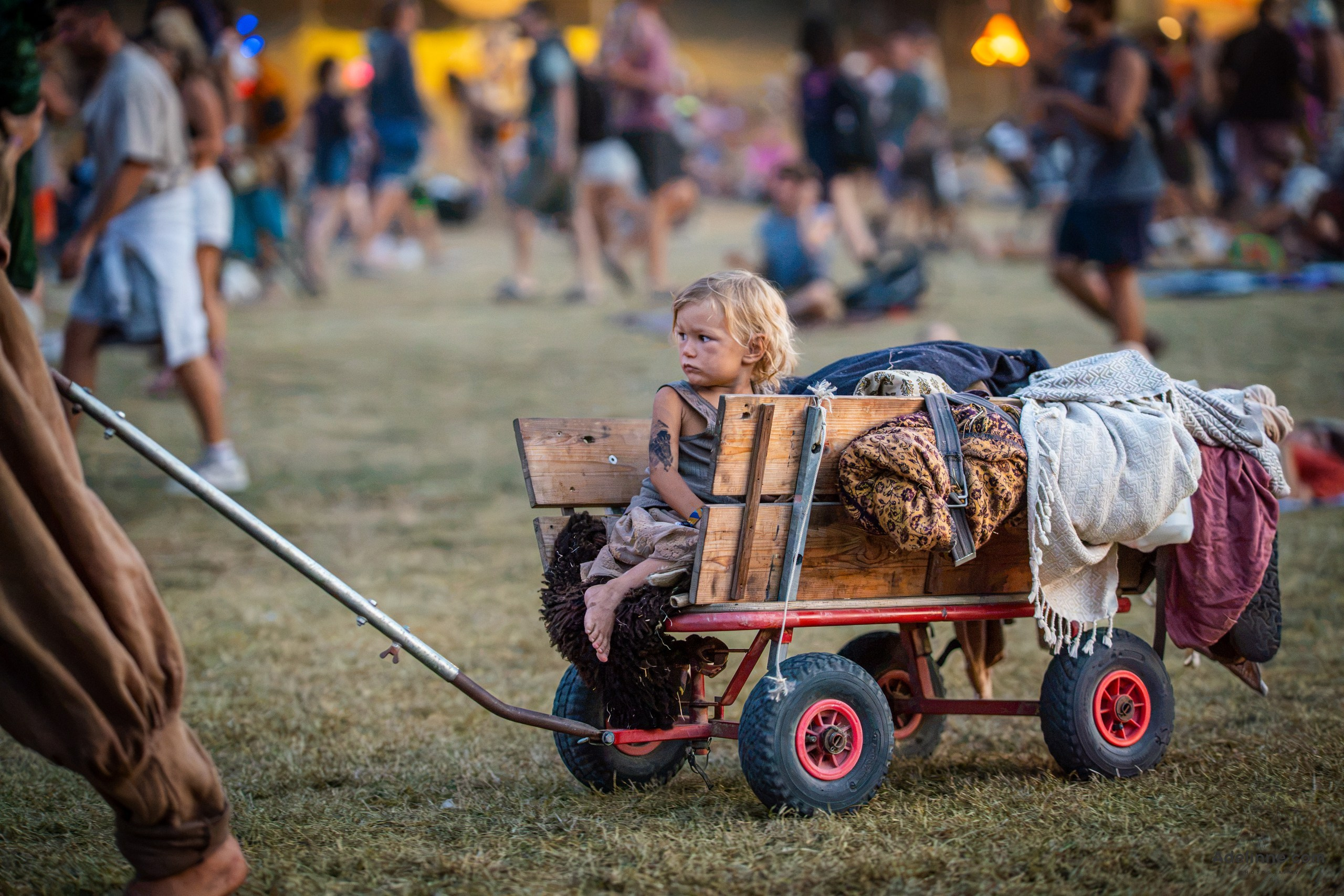 Ozora 2026. Adelinne — fotograf profesionist în Constanța pentru familii, bebeluși și evenimente