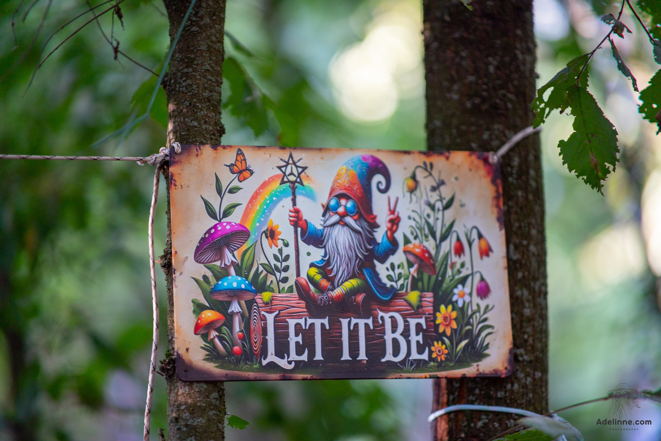 Ozora 2026. Adelinne — fotograf profesionist în Constanța pentru familii, bebeluși și evenimente