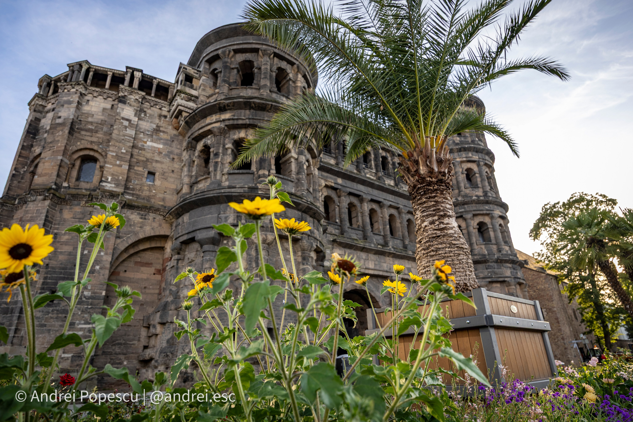 Architecture. Andrei Popescu Photography