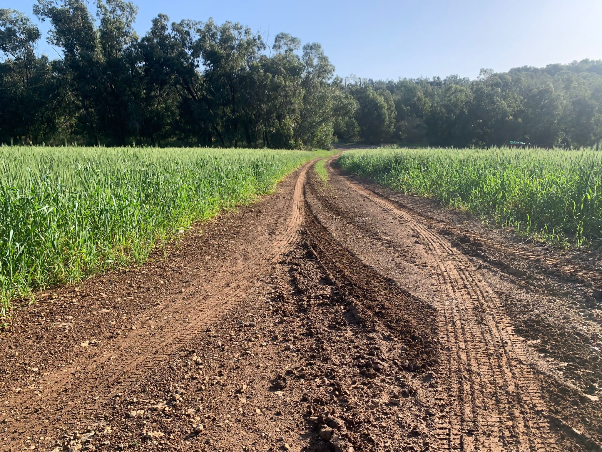 Чёрный фьорд 2021. КРиС «Нортман»