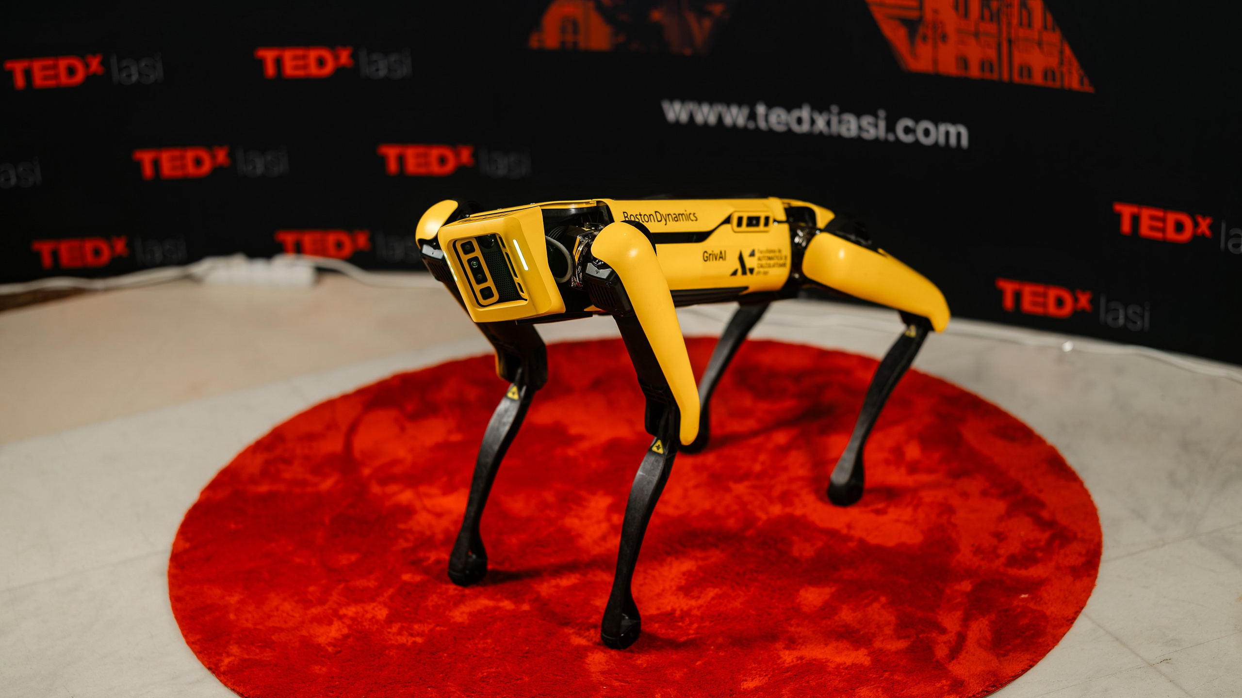 TedX Iași. Marius Ciocan