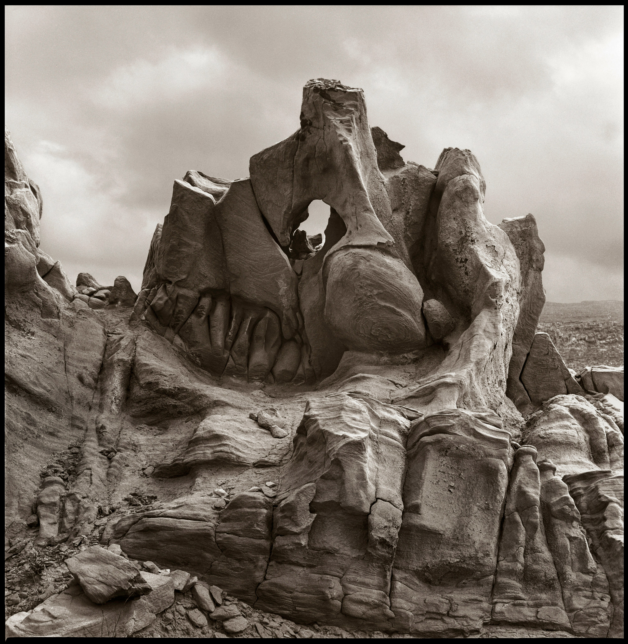 NATURE. Www.sananaleskerov.com