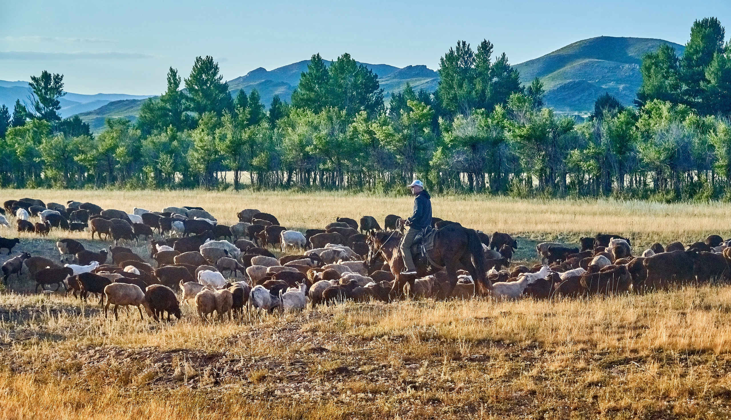 Сибины. Андрей Шипилов — Фотография & Видеография