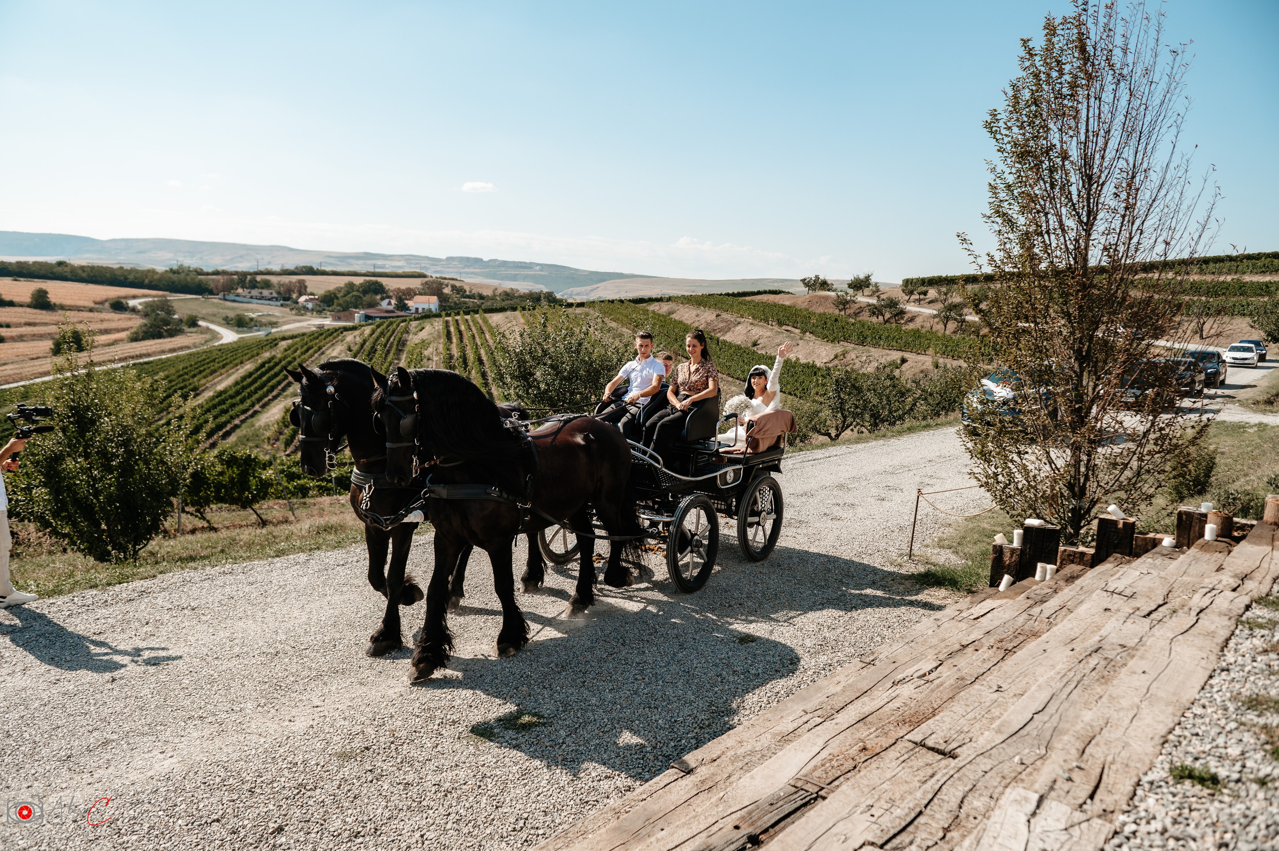 Monica & Dan. Fotograf de evenimente