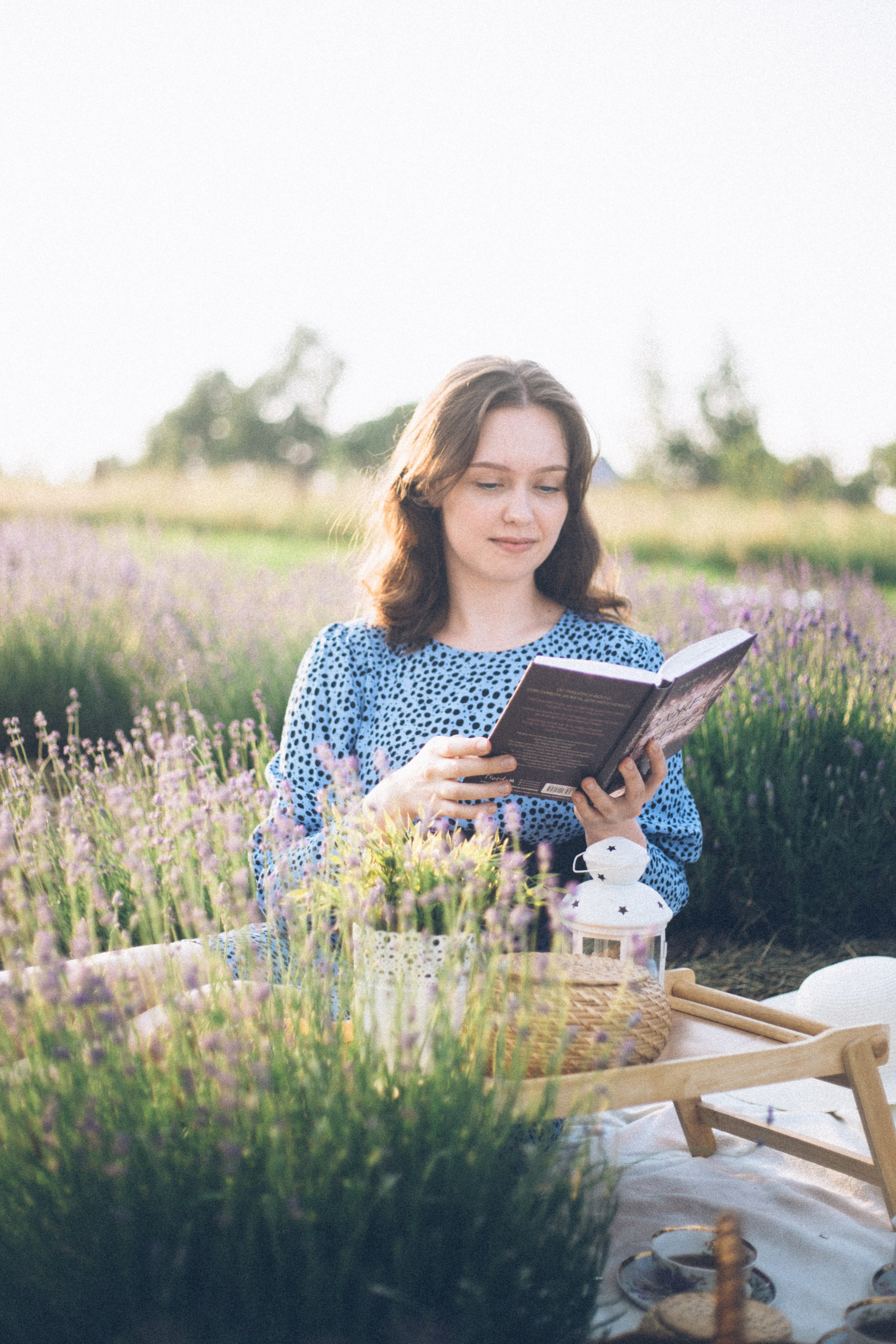 Lavender field. Photographer Anna Curly | Weddings and Events in Dubai