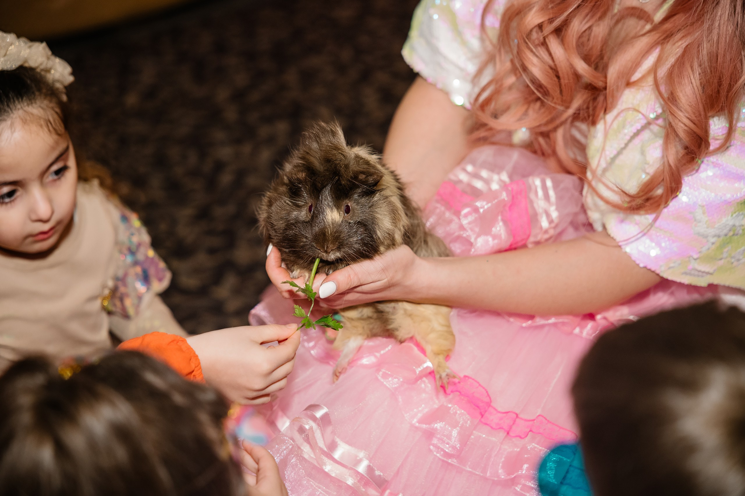 04.13.2025 First birthday. Wedding family event photographer in Chicago Nick Yushevich