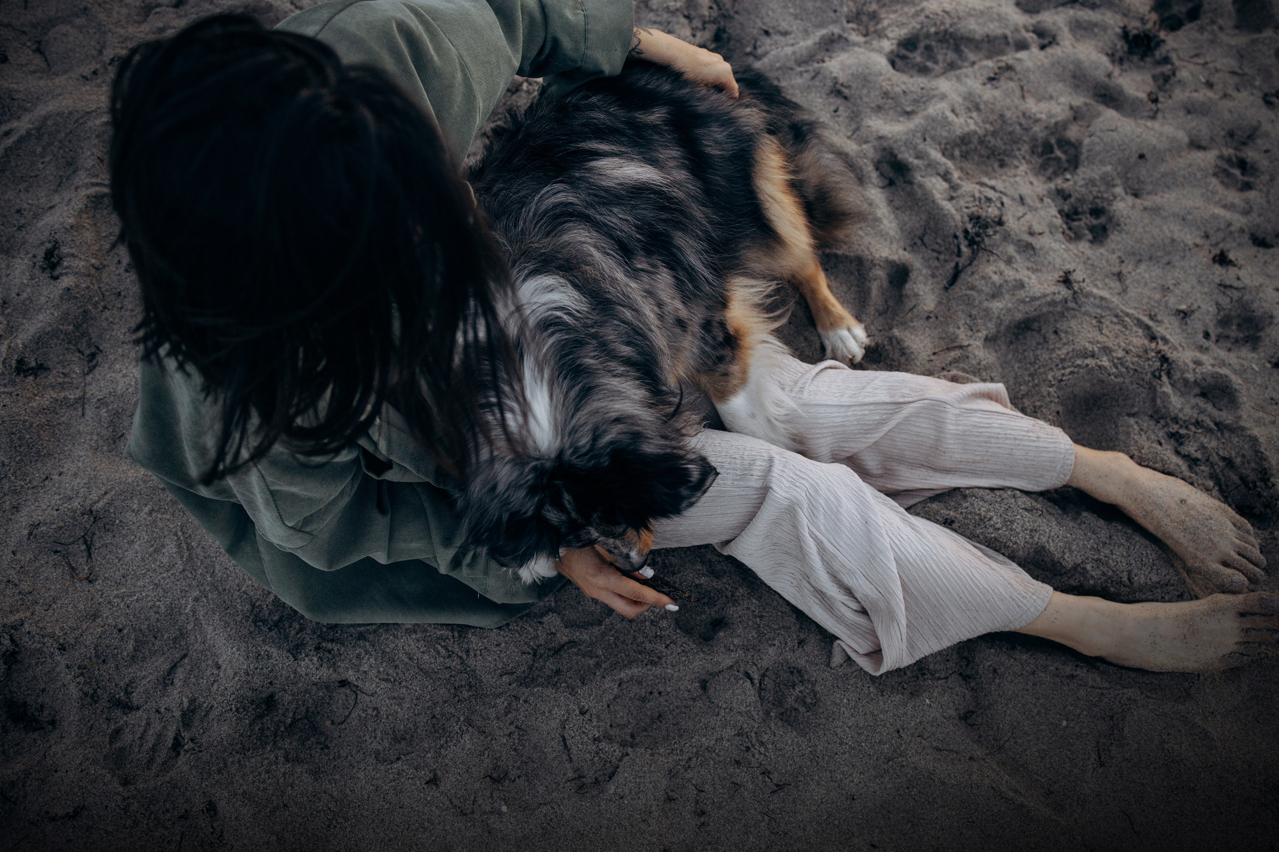 Lou & Eliya. Pet Photographer Viktoriya Aleshenko