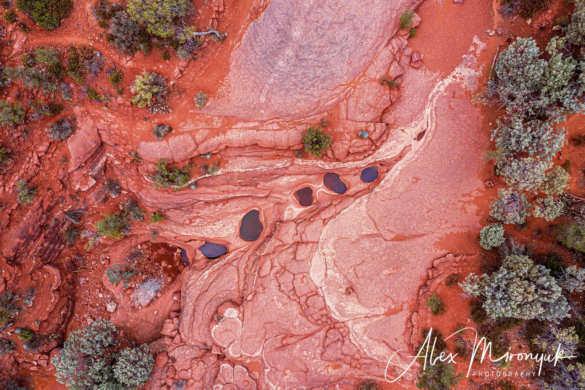 New Year In Sedona. Pet, Senior, Landscape, portrait studio, photographer in Miami and Sou