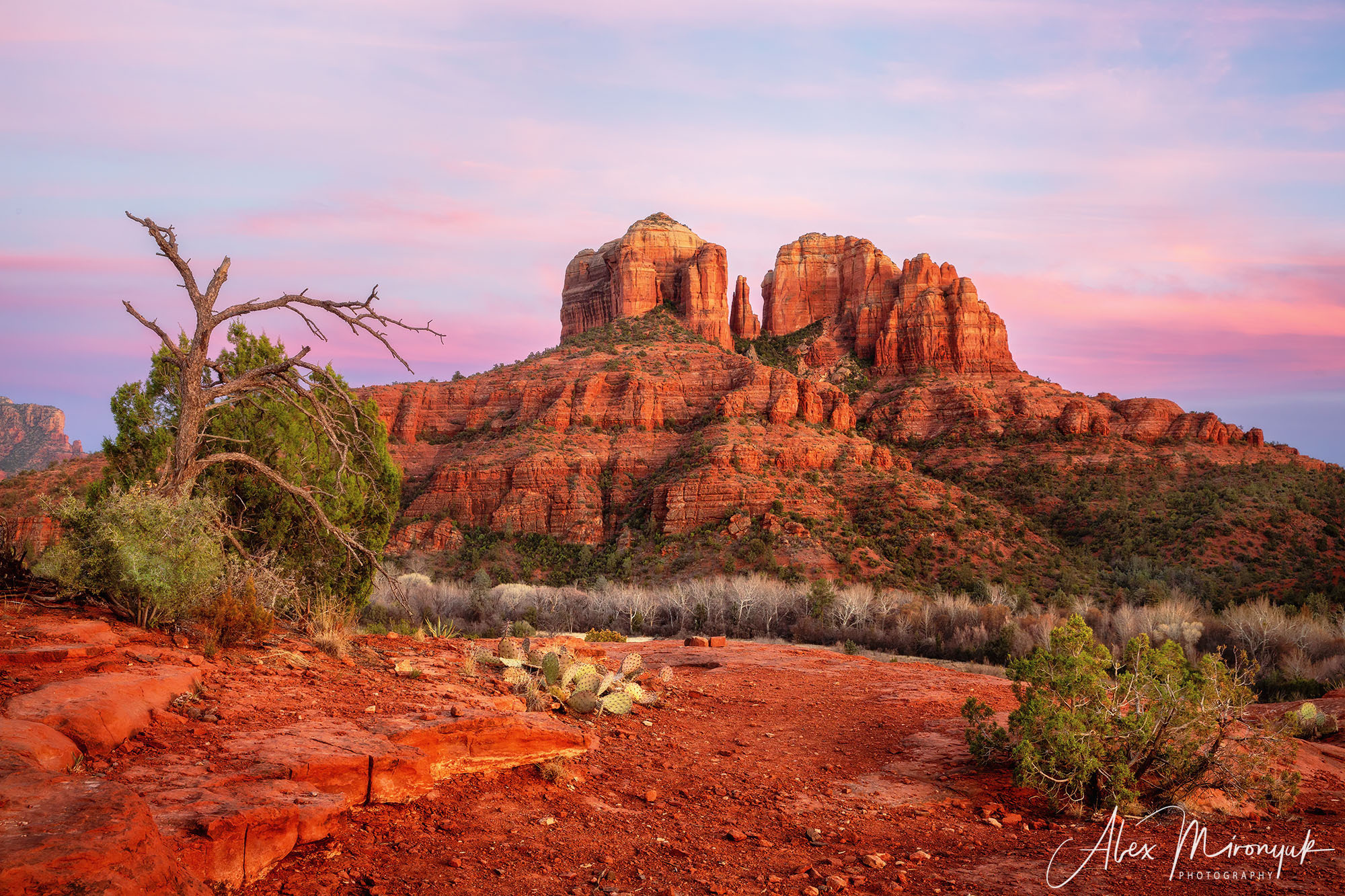New Year In Sedona. Pet, Senior, Landscape, portrait studio, photographer in Miami and Sou
