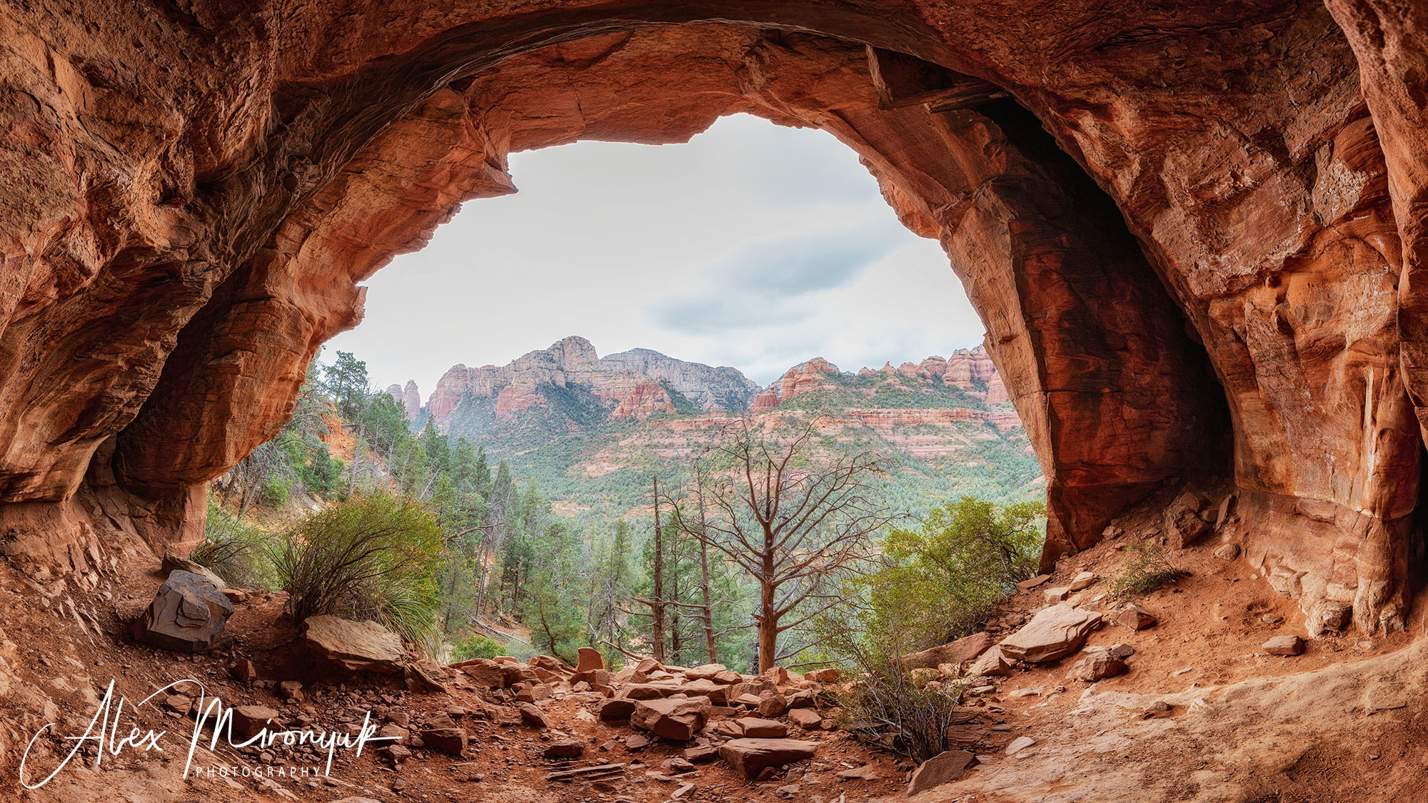 New Year In Sedona. Pet, Senior, Landscape, portrait studio, photographer in Miami and Sou