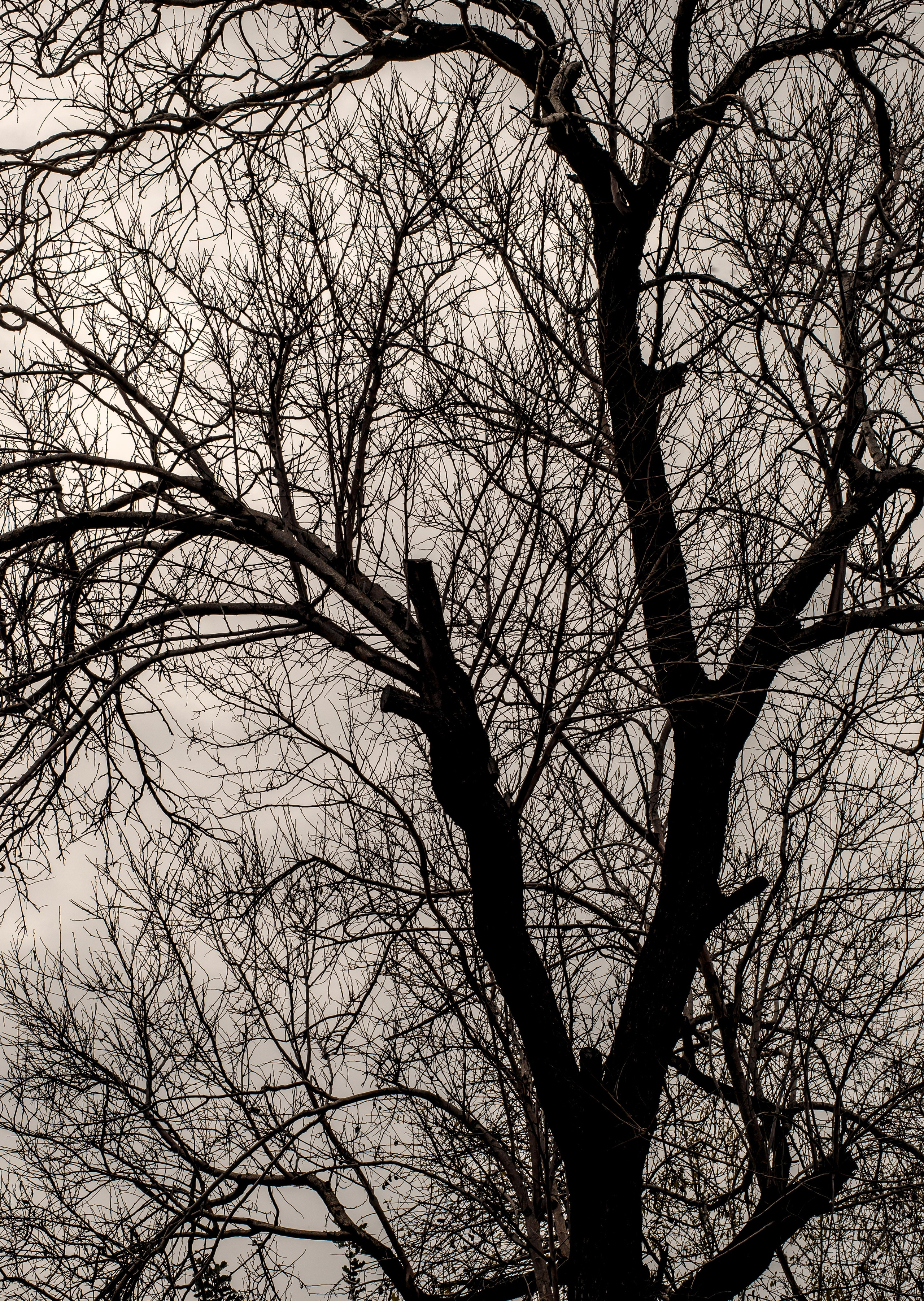 Turkey, Alanya. Art Photographer