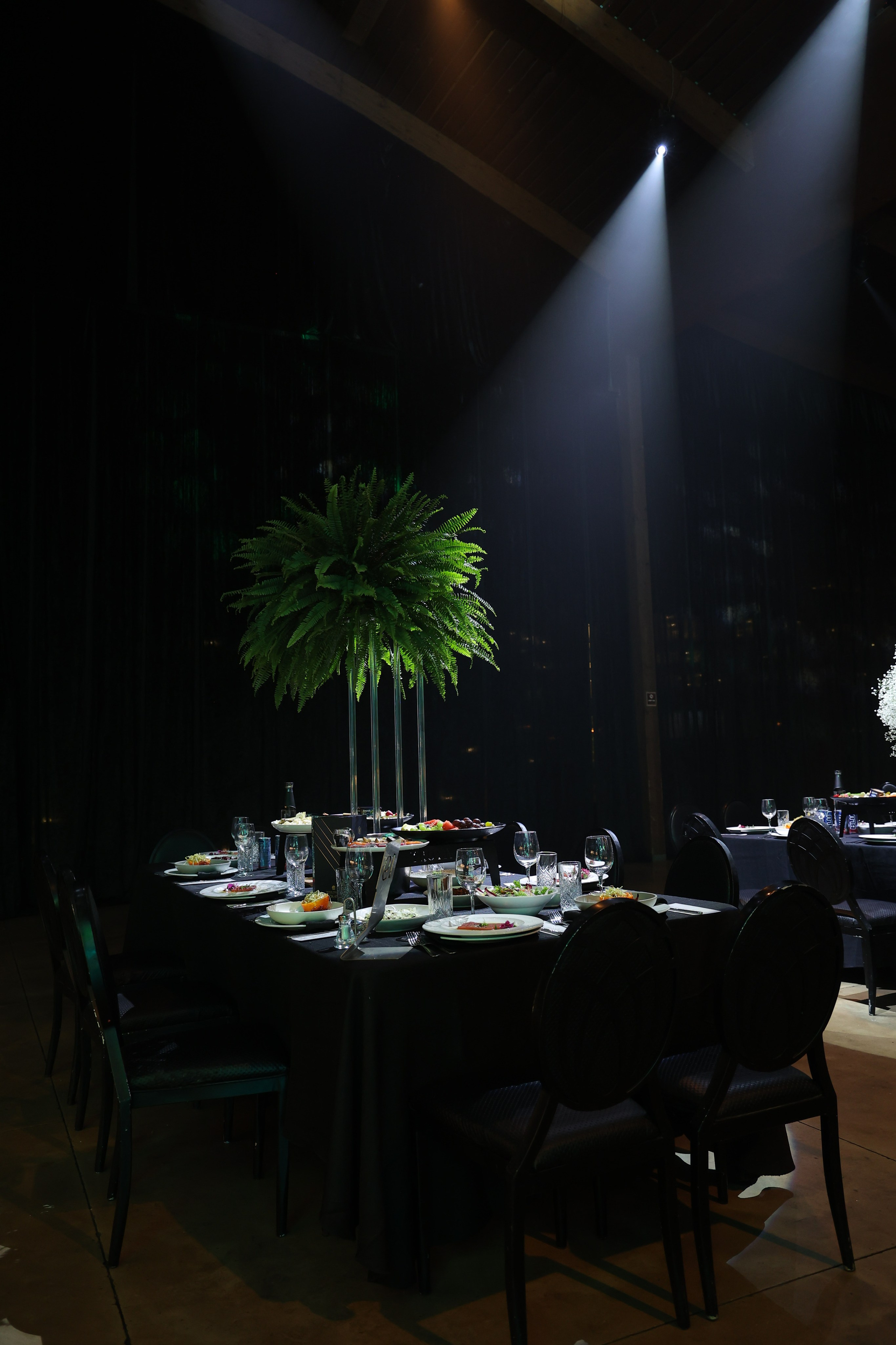 טרויה. Wedding and events photographers Studio Shalom