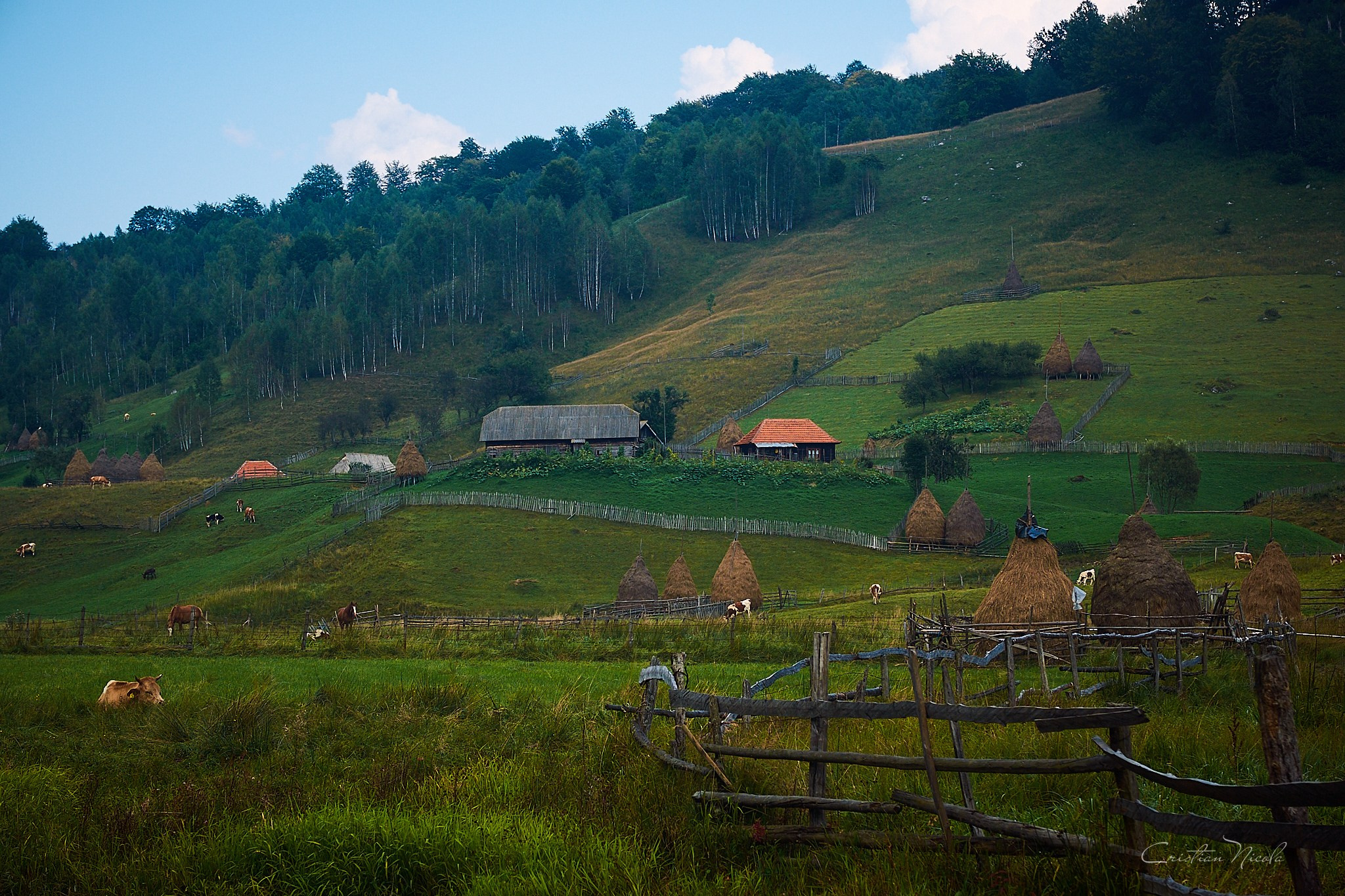 Fundătura Ponorului, jud. Humedoara. Pagina principală