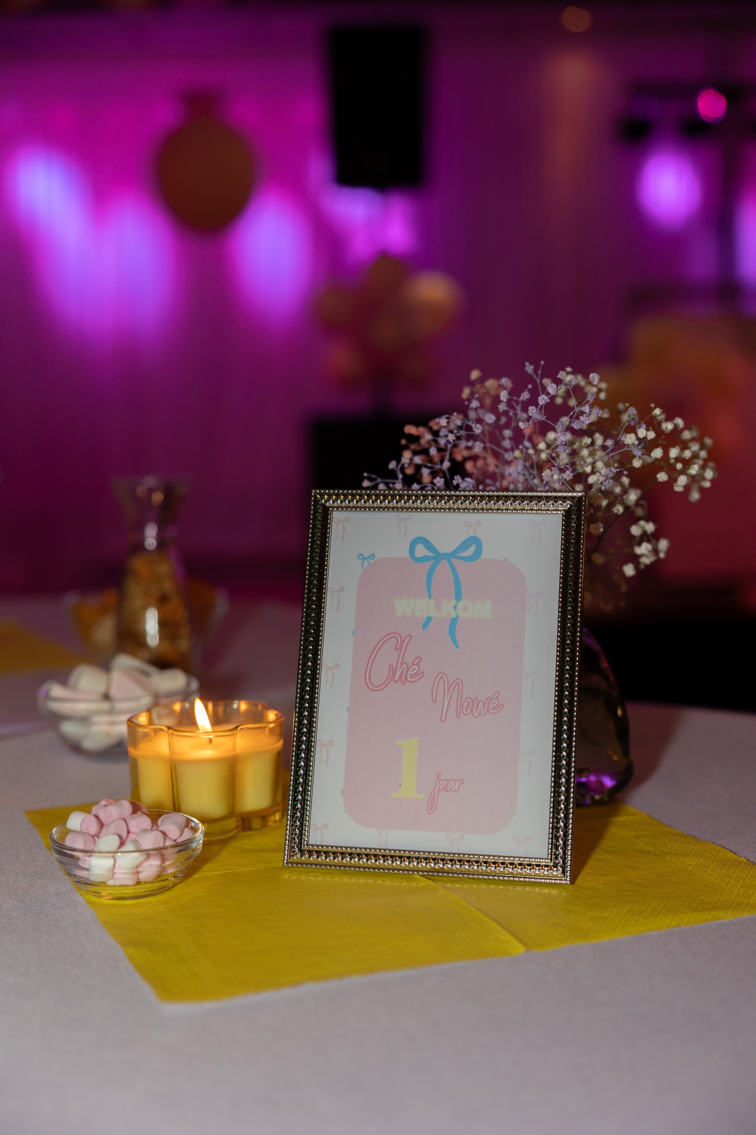 1 st Birthday. Portrait and Family Photographer in Netherlands