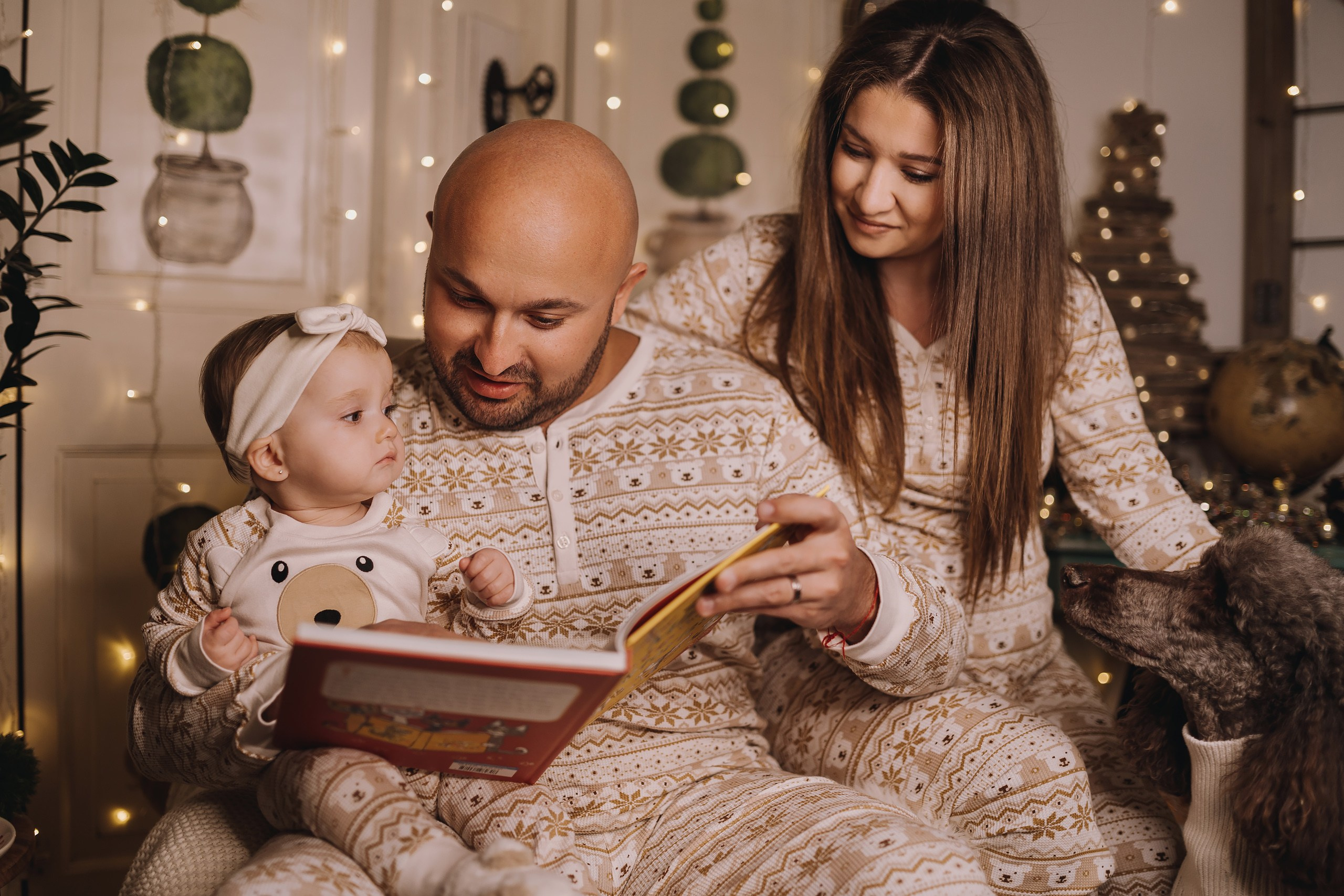 09.12.2023 Christmas Photoshoot. Wedding family event photographer in Chicago Nick Yushevich