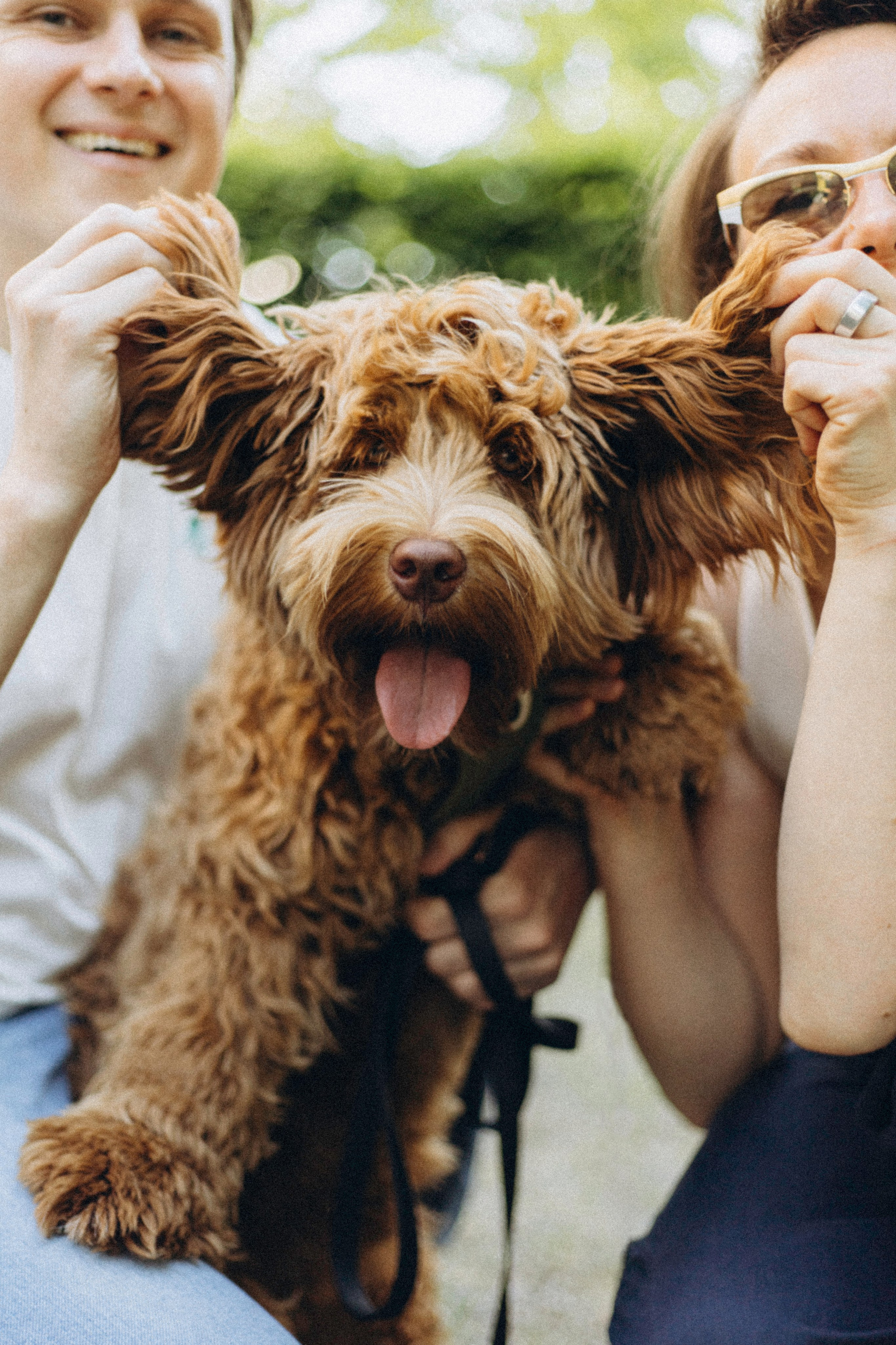 Tiere. Fotograf Düsseldorf, Köln, NRW - Kristina Braudo