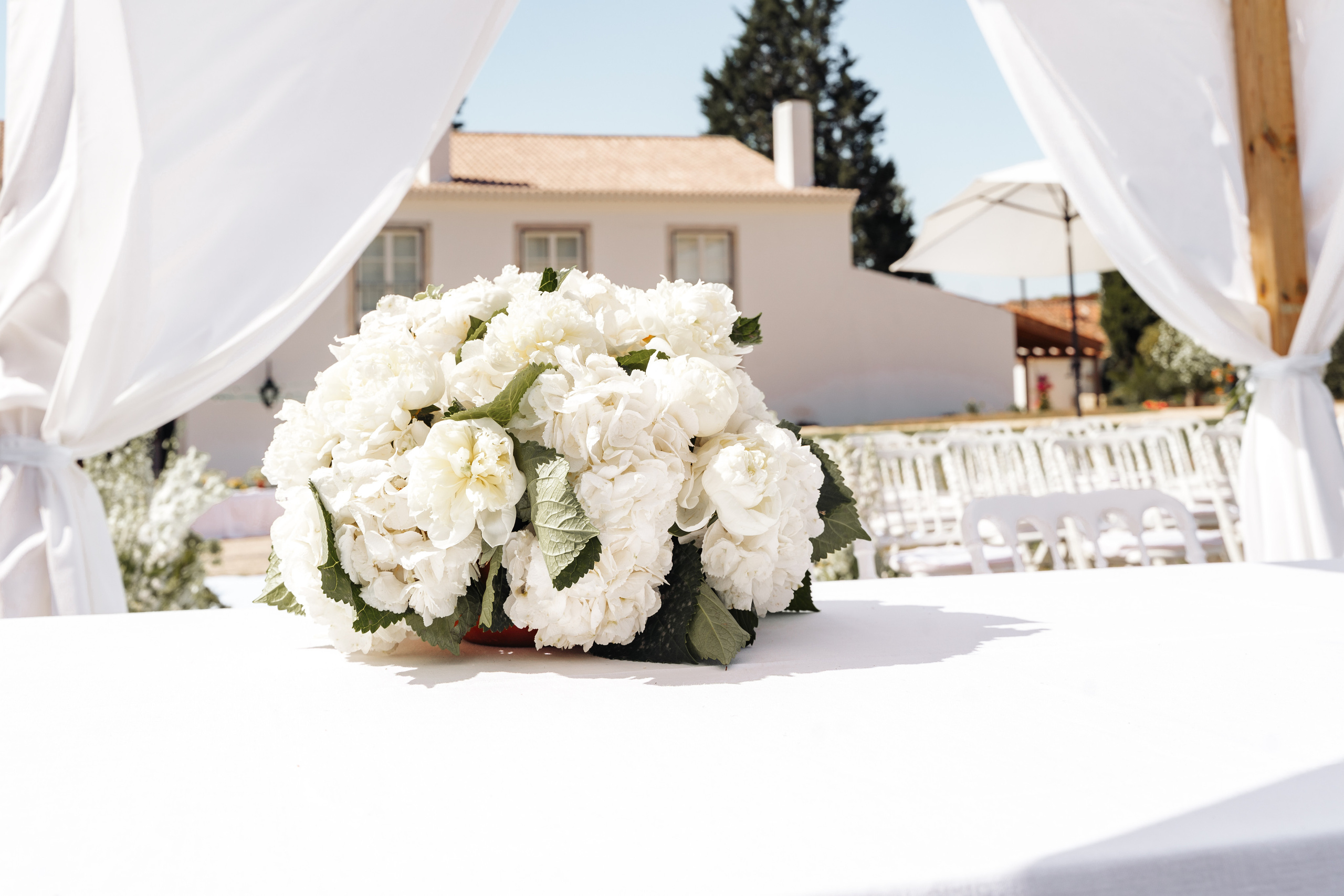 Casamento em Portugal Fotosessao. Fotografa em Portugal Alexandra Efimova
