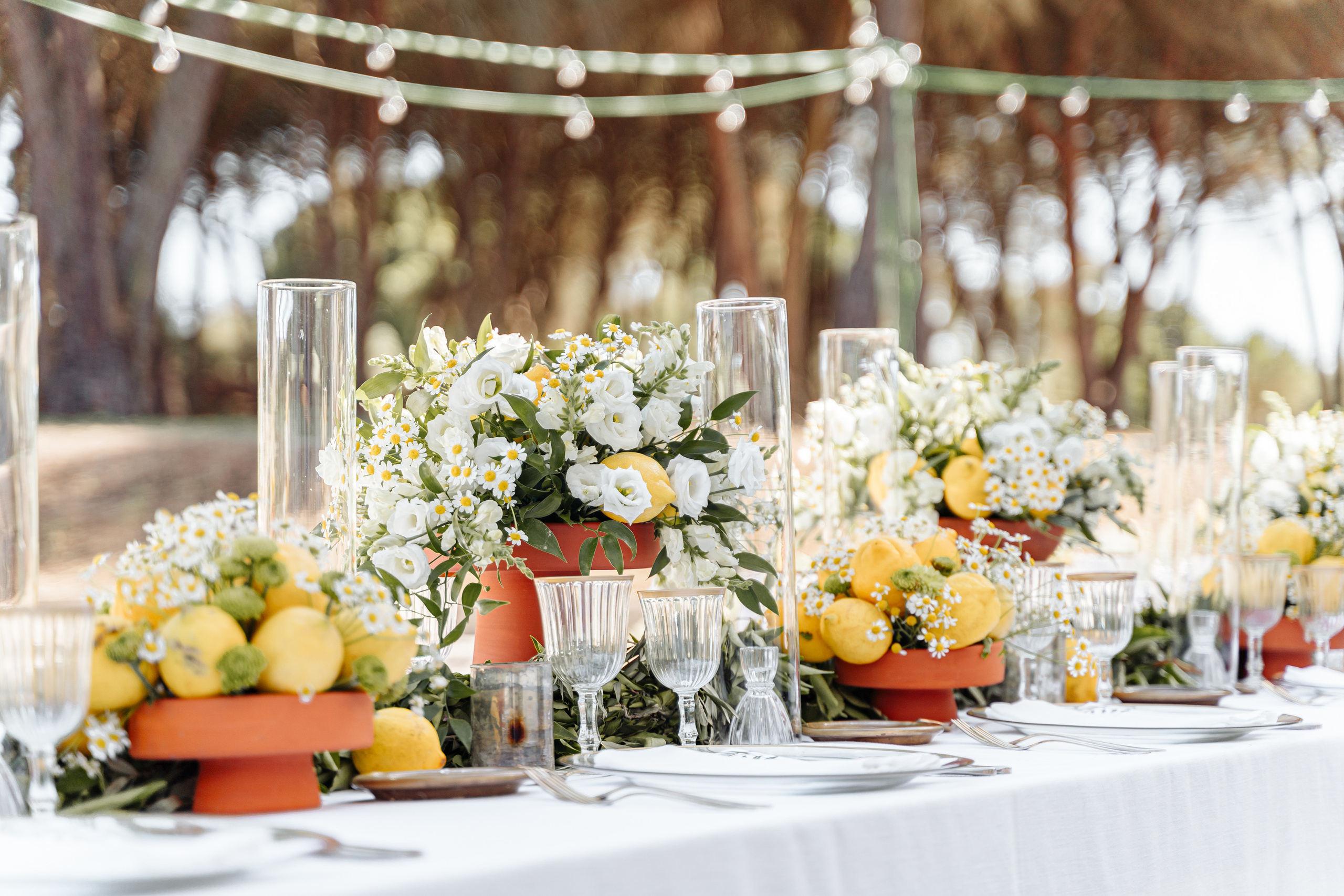 Casamento em Portugal Fotosessao. Fotografa em Portugal Alexandra Efimova