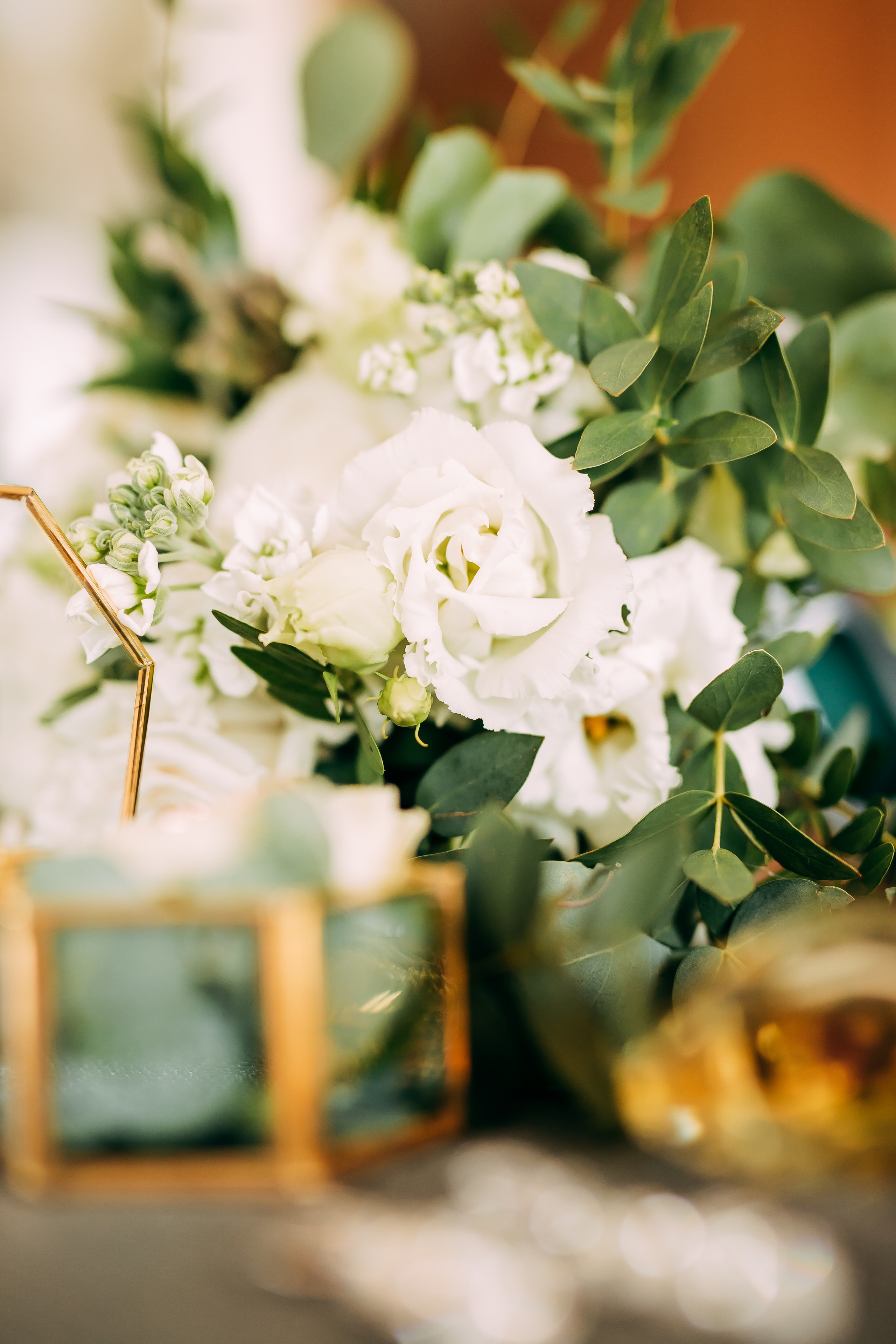 Līga & Oskars. Fotogrāfe Līga Vaidere