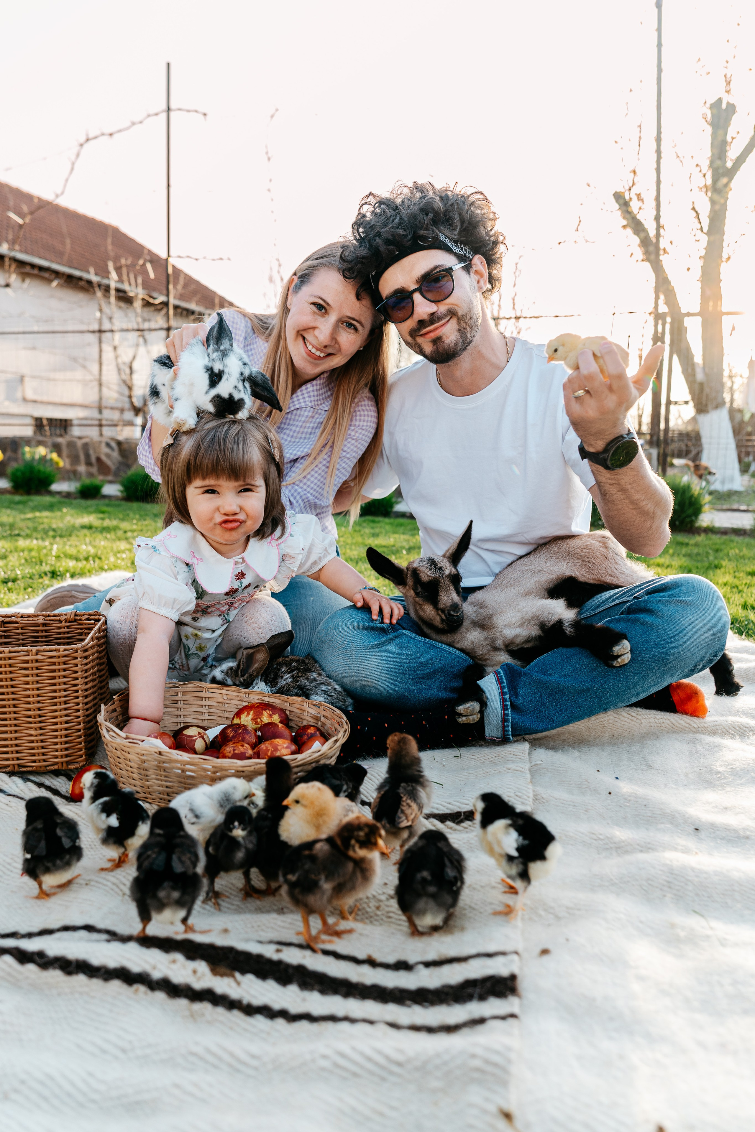 EASTER. Ars Vidi | Digital Solutions
