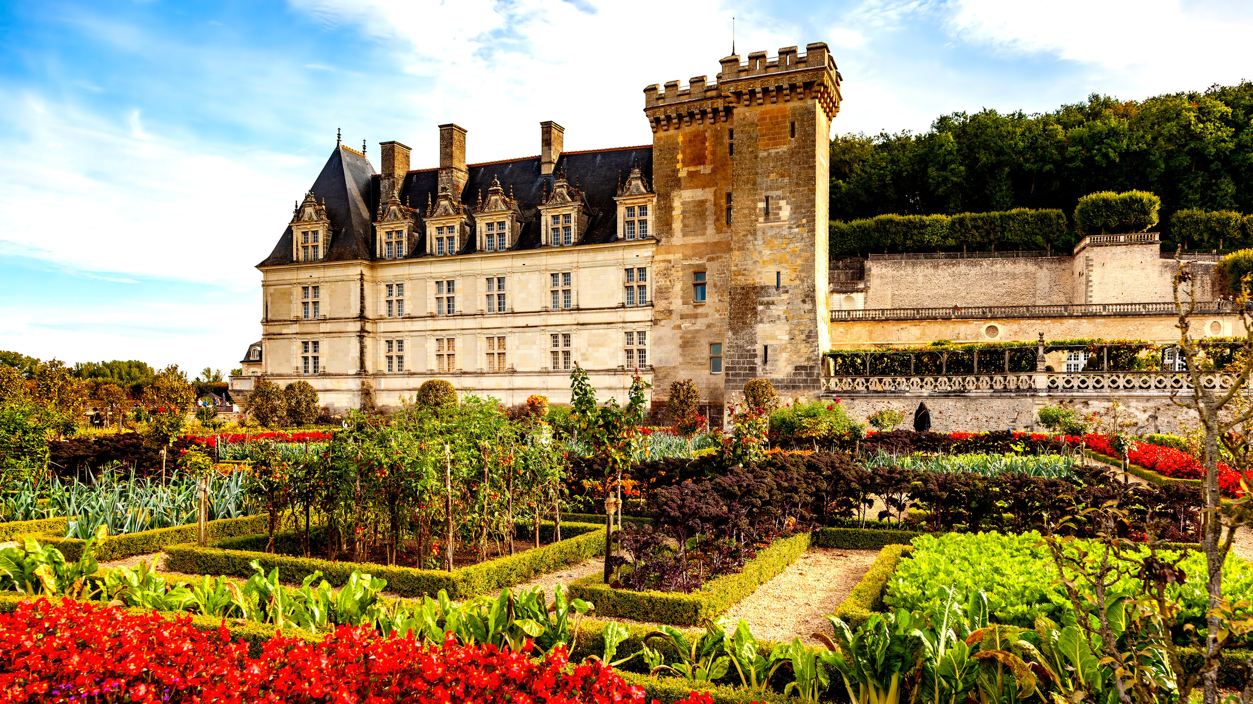 202.Château de Villandry.France.28.9.2025. Путешествия в формате 360......