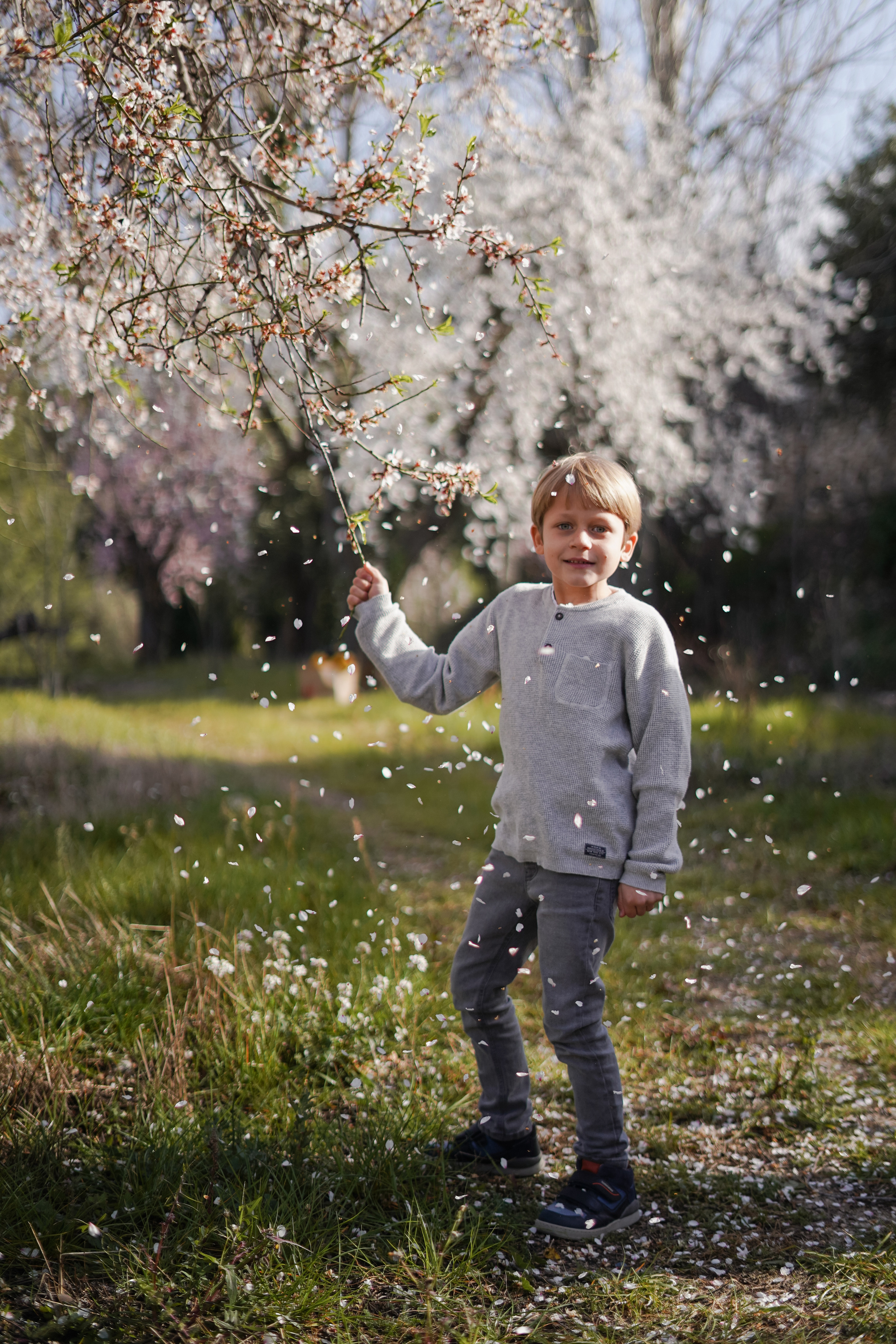 Almendros florecidos. Familia. Fotografo familiar, bodas, reportaje Diana Memetova Alicante, Benidorm
