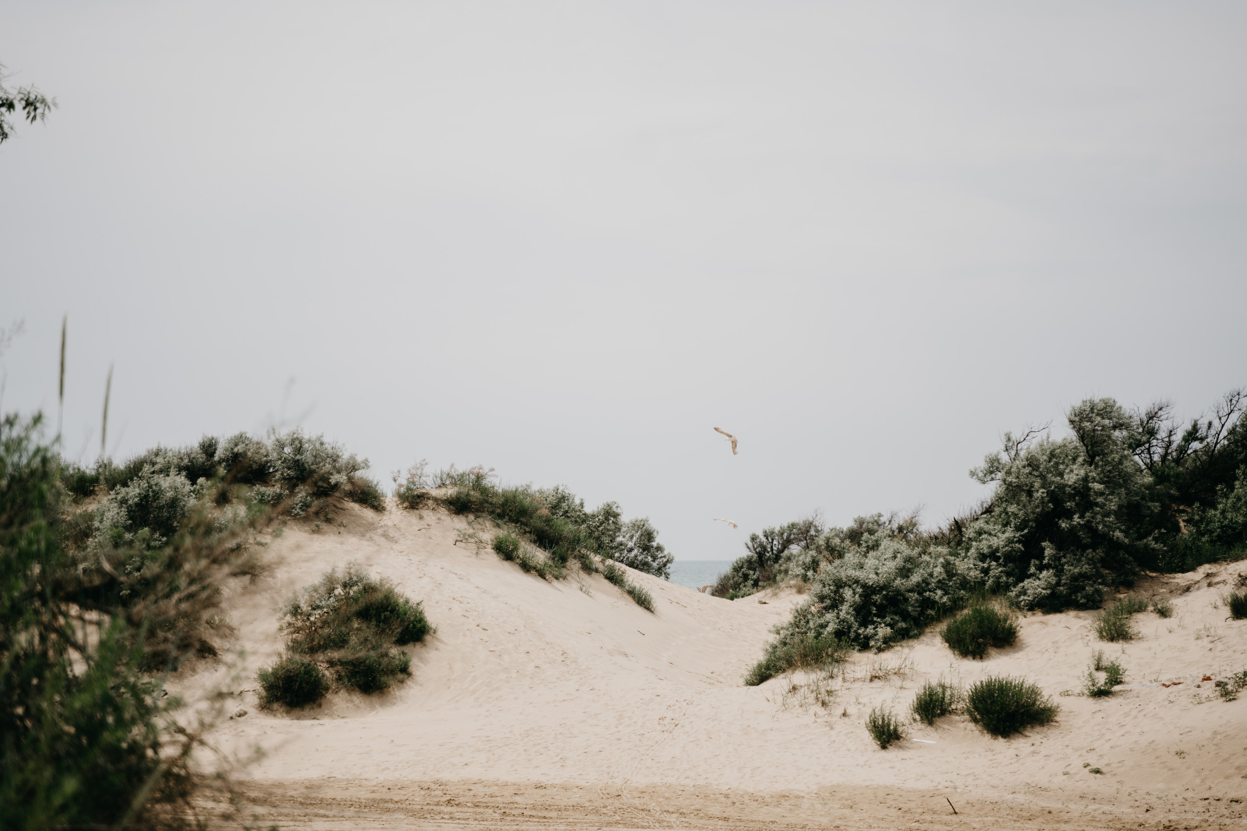 Engagement S & M. Orange County Wedding Photographer & Videographer | Candid & Timeless Wedding Photo + Video | Italiantsev