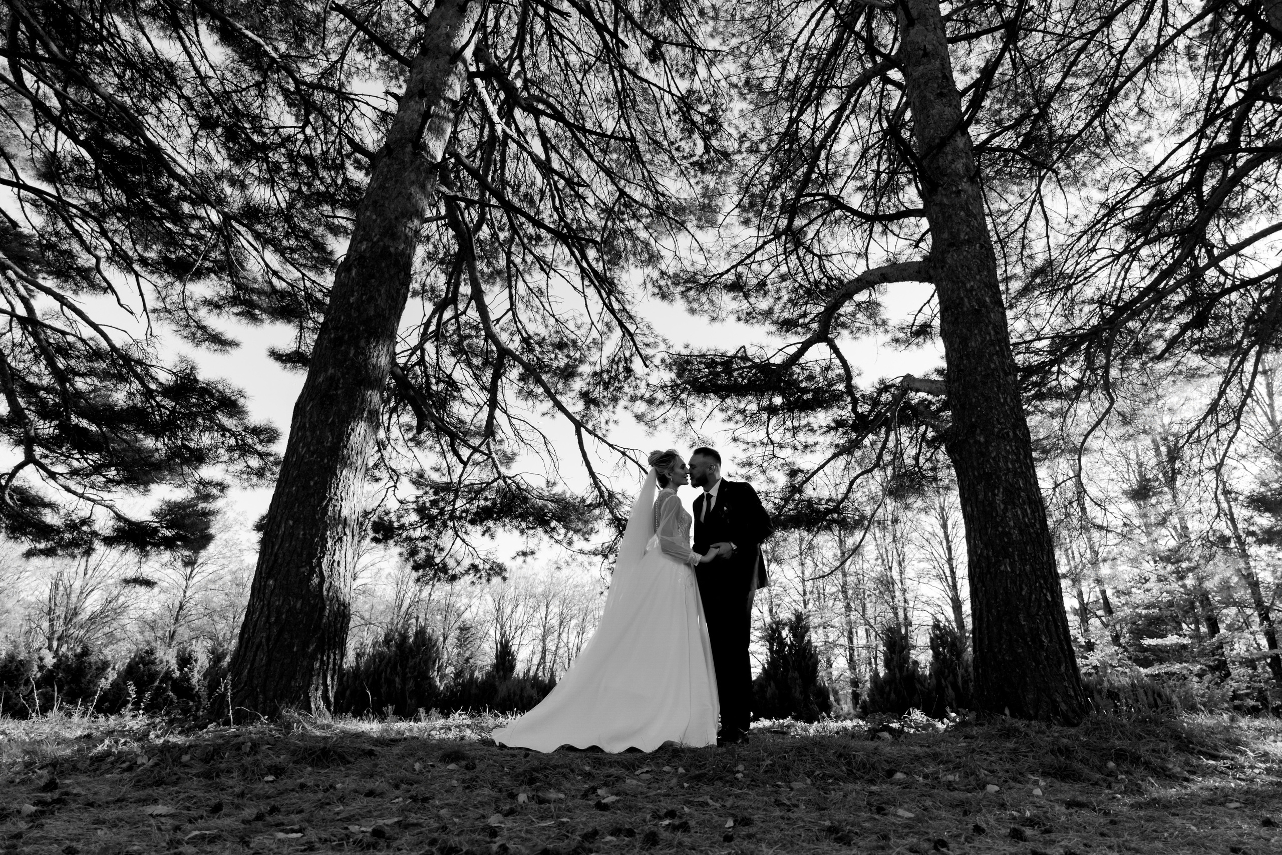 Максим и Анжелика. Orange County Wedding Photographer & Videographer | Candid & Timeless Wedding Photo + Video | Italiantsev