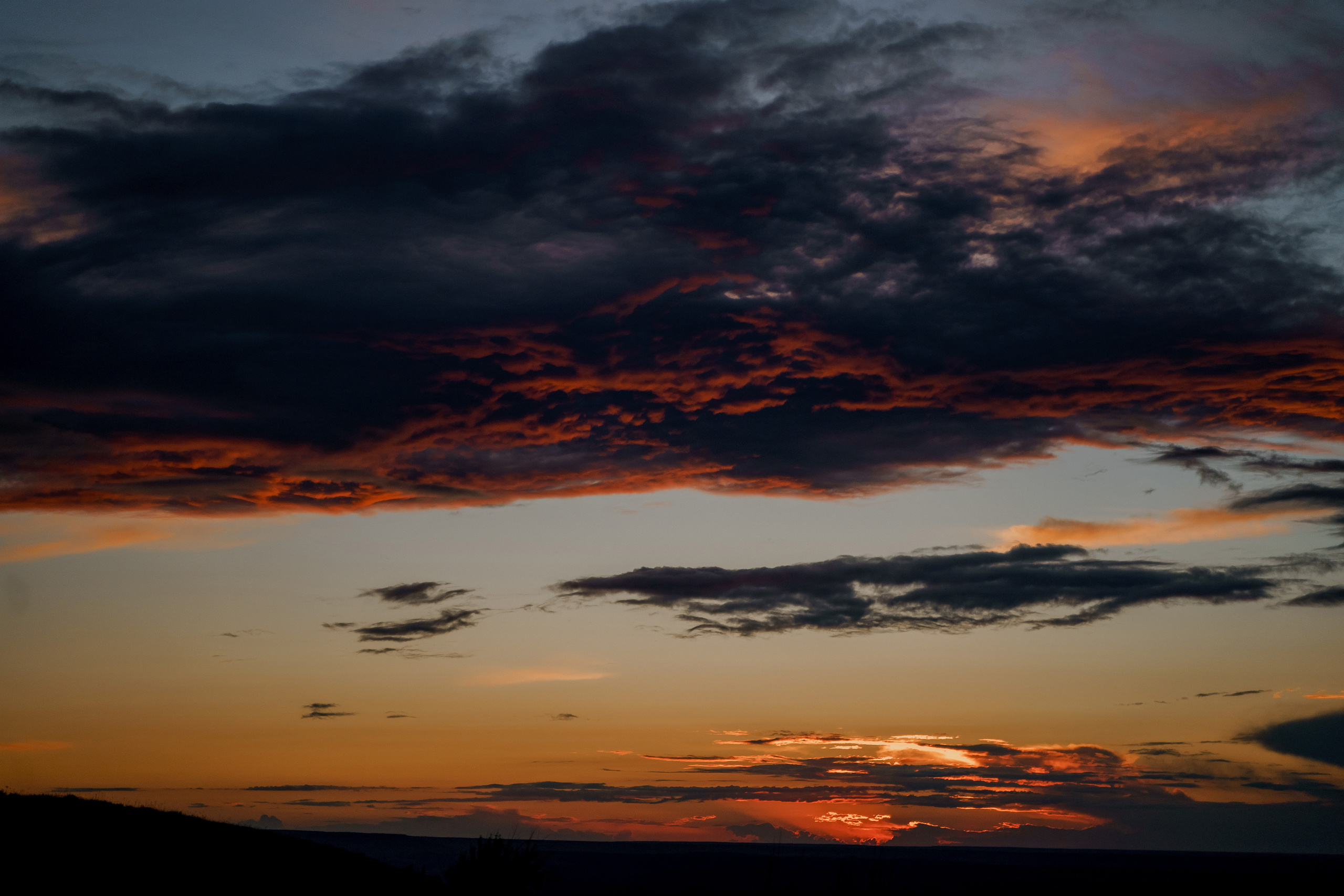 Анар и Александра. Orange County Wedding Photographer & Videographer | Candid & Timeless Wedding Photo + Video | Italiantsev