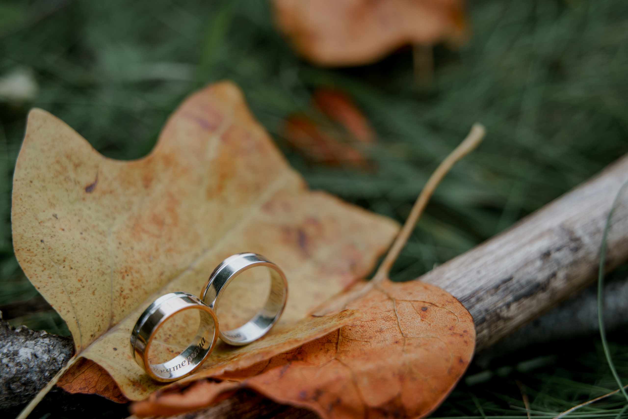 Ярослав и Екатерина. Orange County Wedding Photographer & Videographer | Candid & Timeless Wedding Photo + Video | Italiantsev