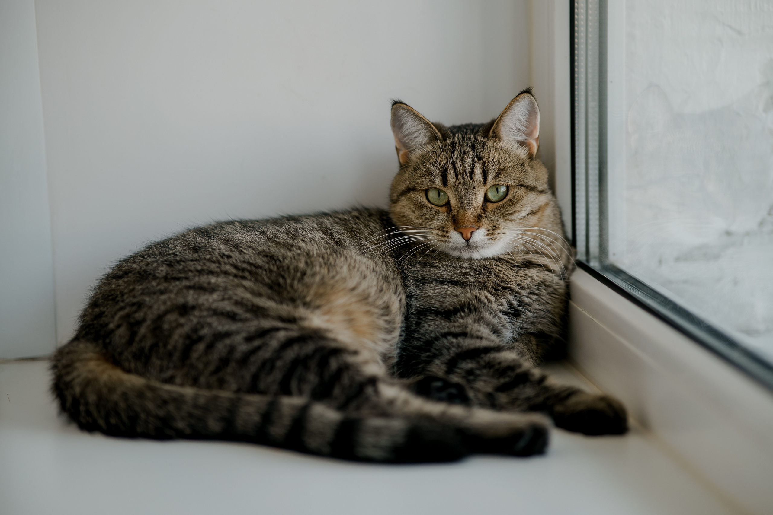 Сергей и Саша. Orange County Wedding Photographer & Videographer | Candid & Timeless Wedding Photo + Video | Italiantsev